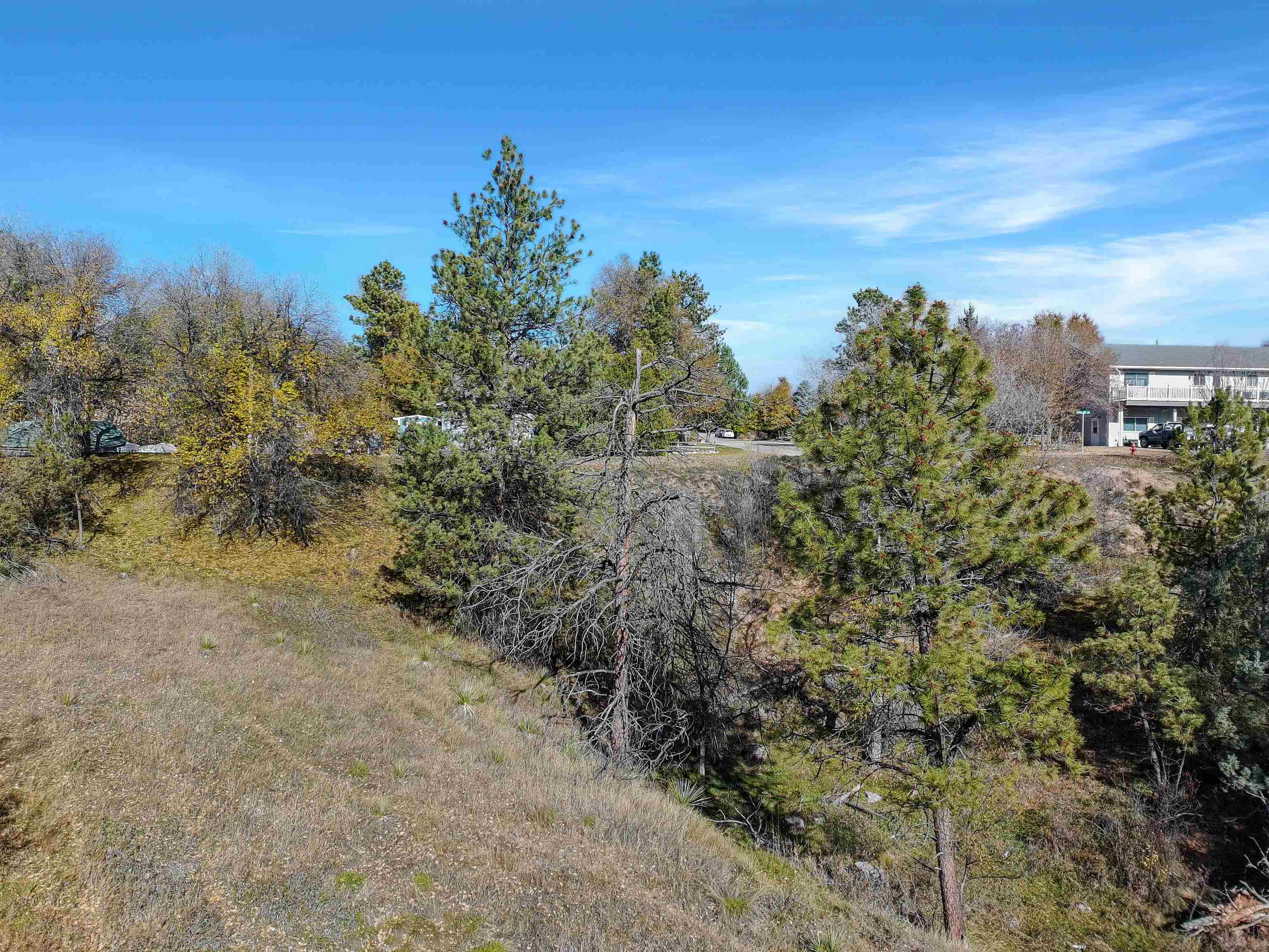 Tbd Catholican Ave Property Photo 14