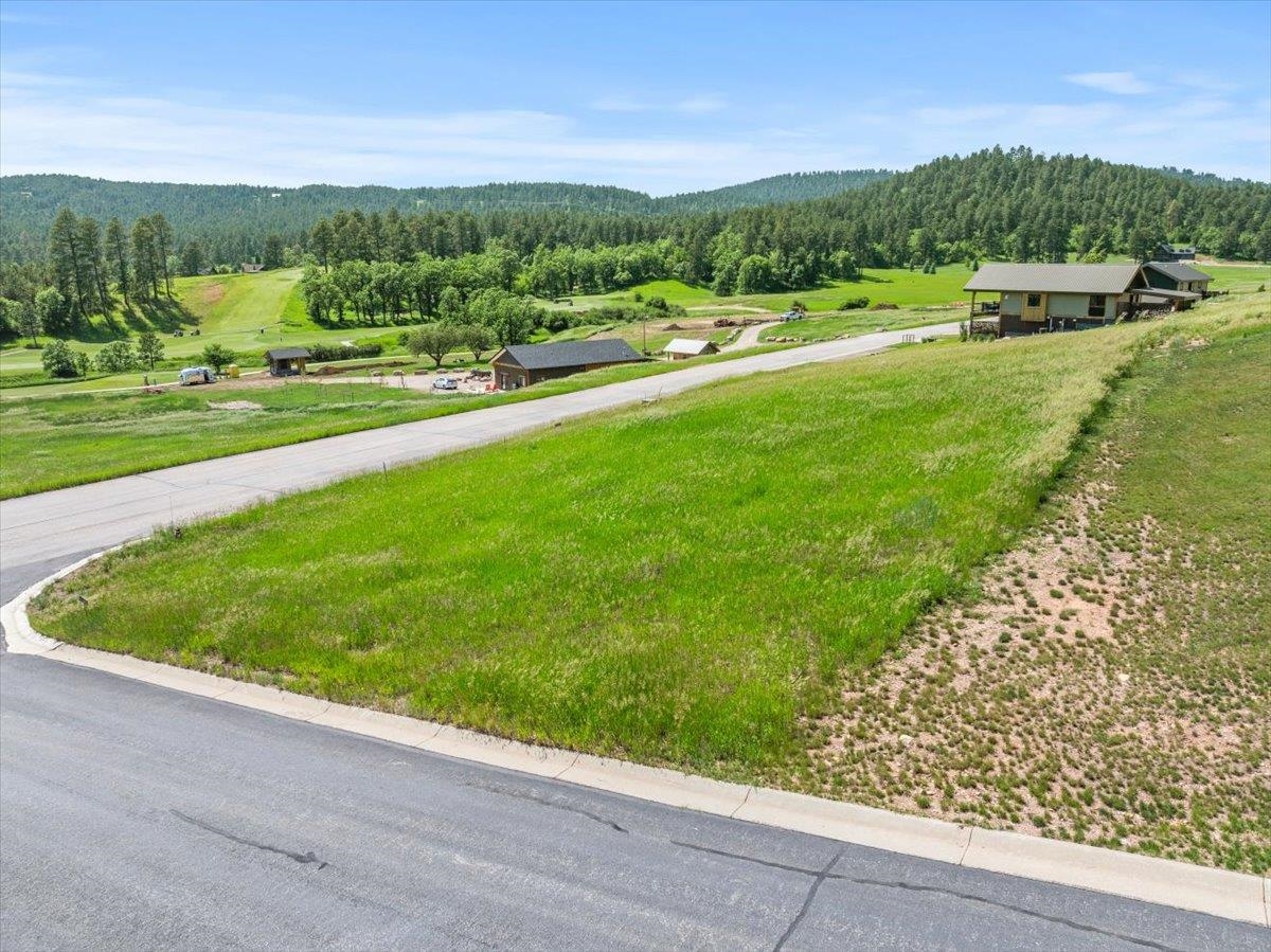 Tbd Apple Springs Boulevard Property Photo 4