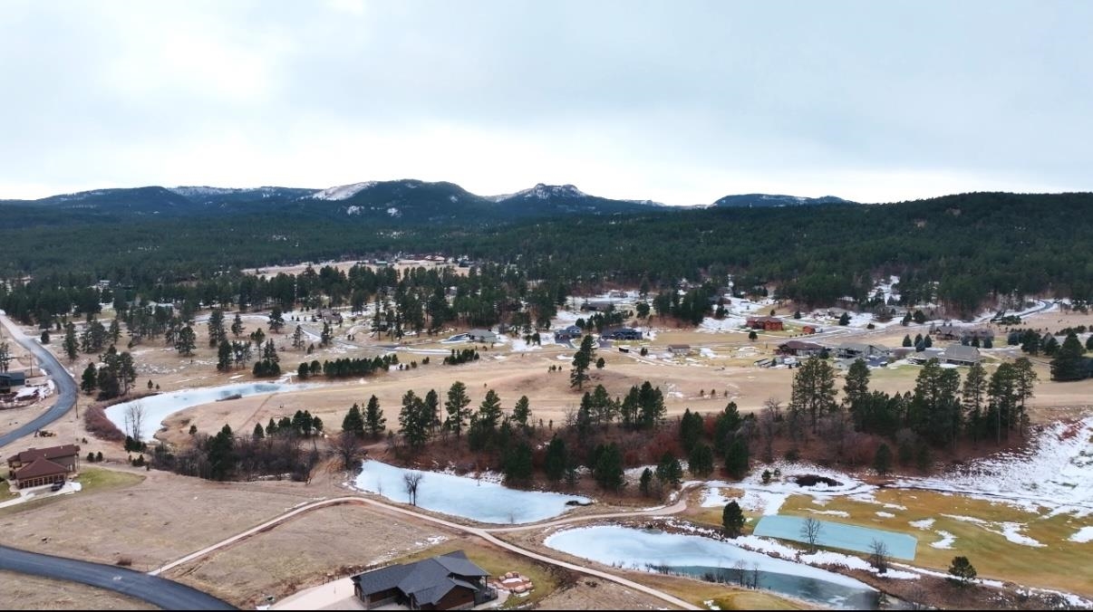 Tbd Apple Springs Boulevard Property Photo 14