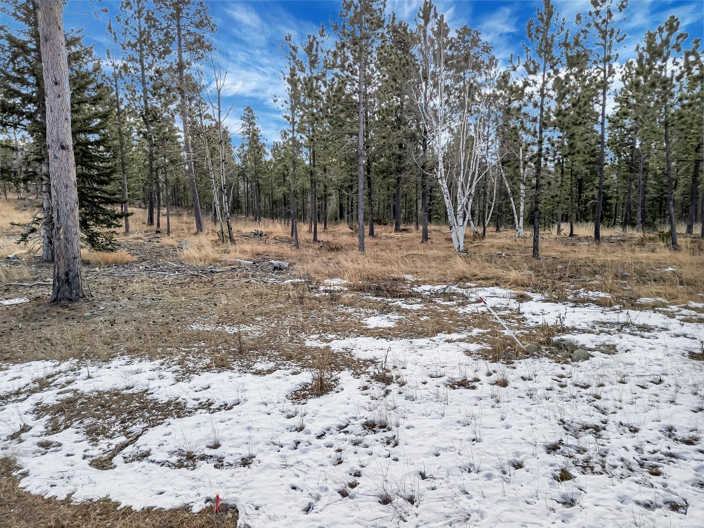 TBD Lofty Pines Ct Property Photo 1