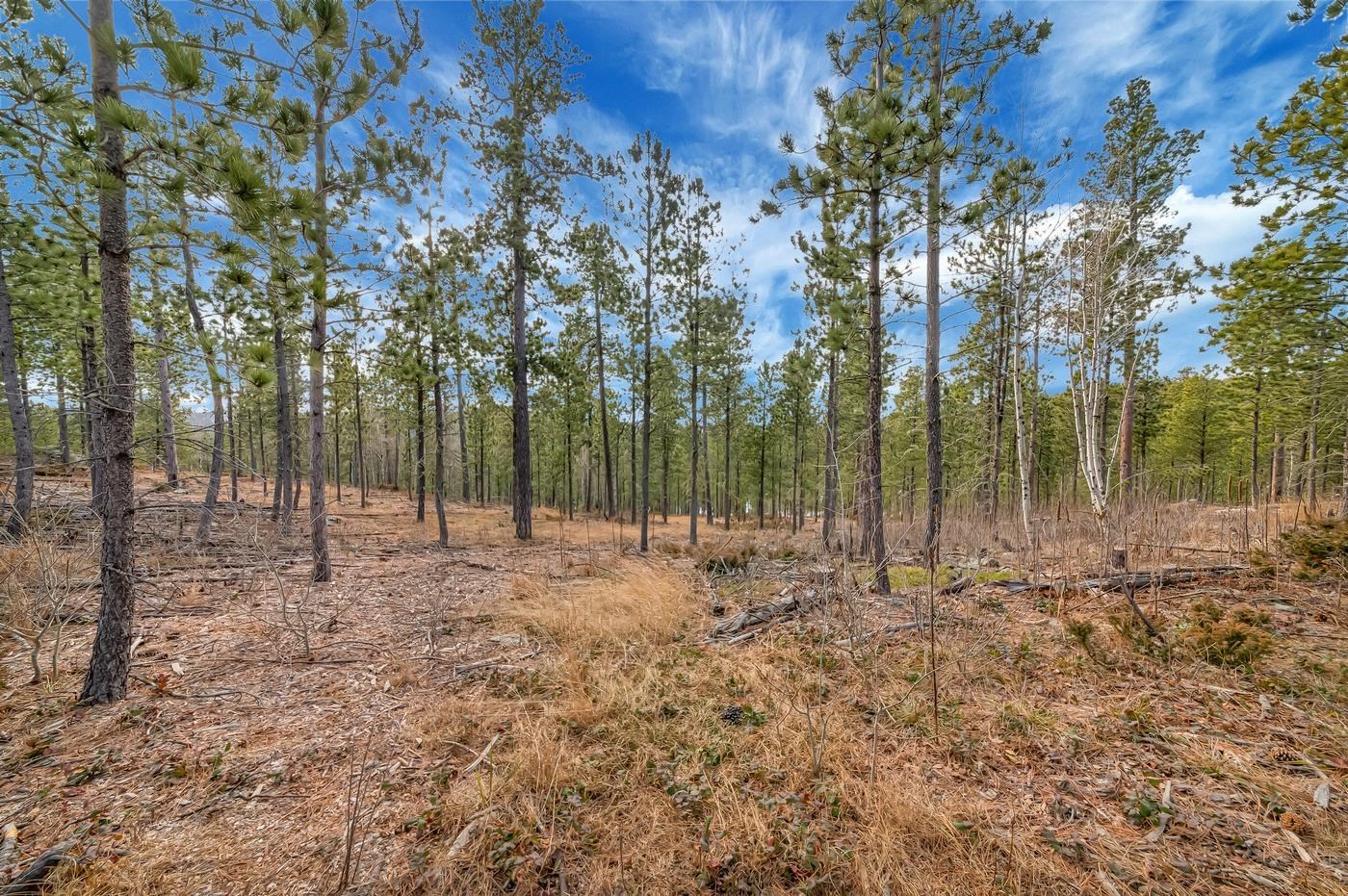 Tbd Lofty Pines Ct Property Photo 2