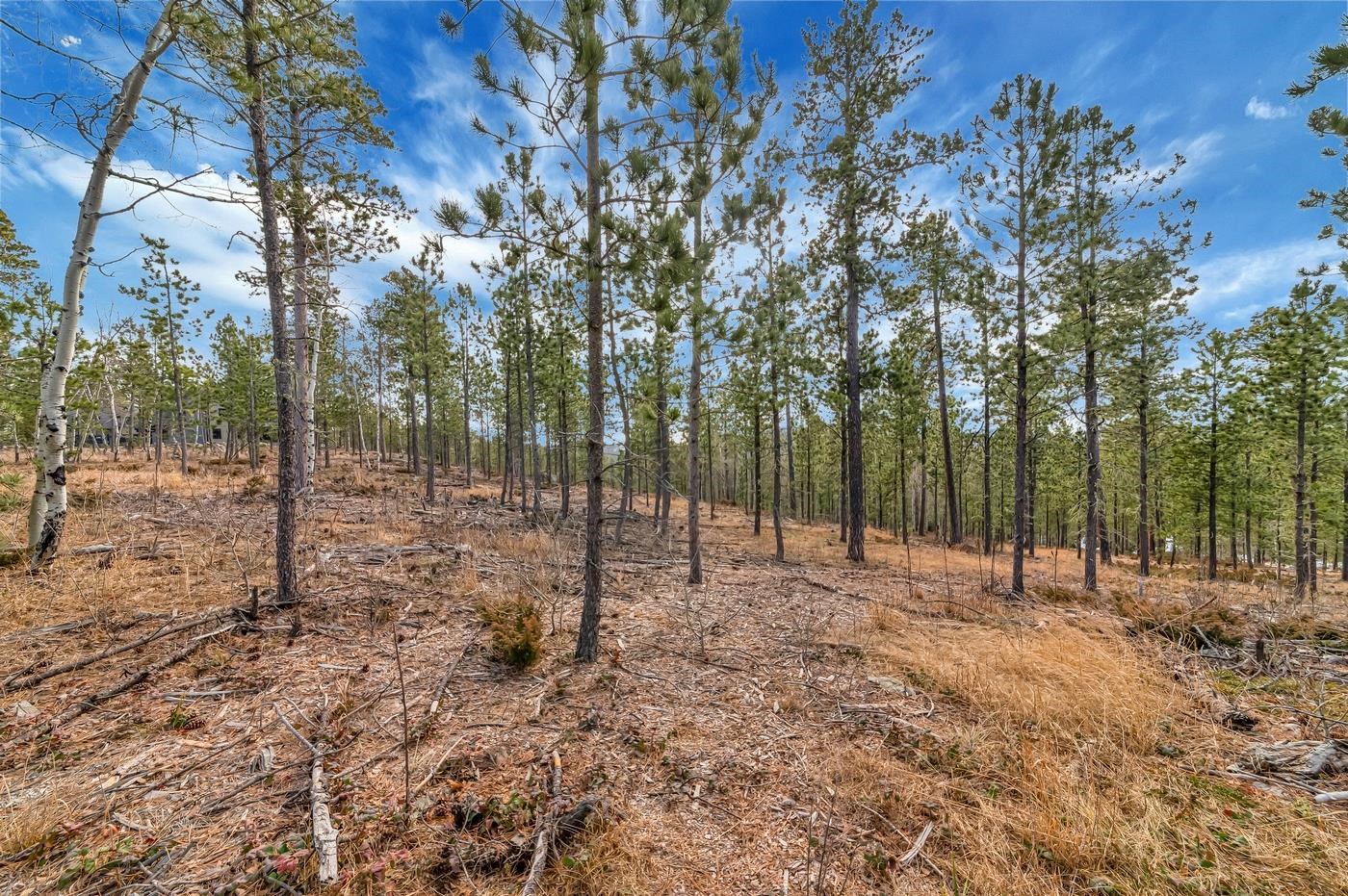 Tbd Lofty Pines Ct Property Photo 3