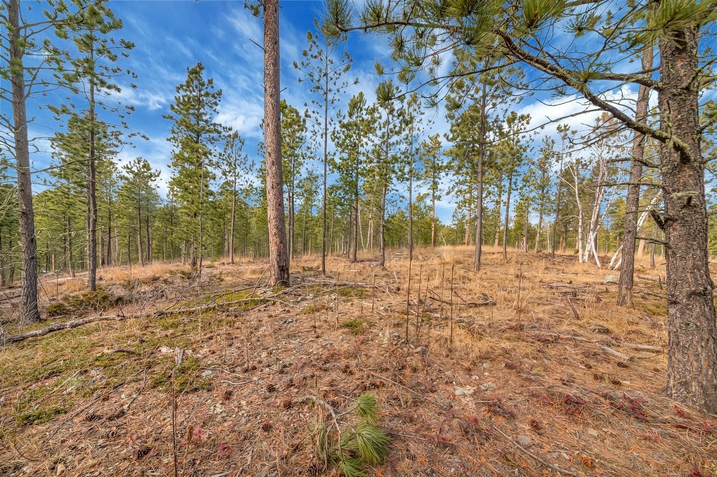 Tbd Lofty Pines Ct Property Photo 4