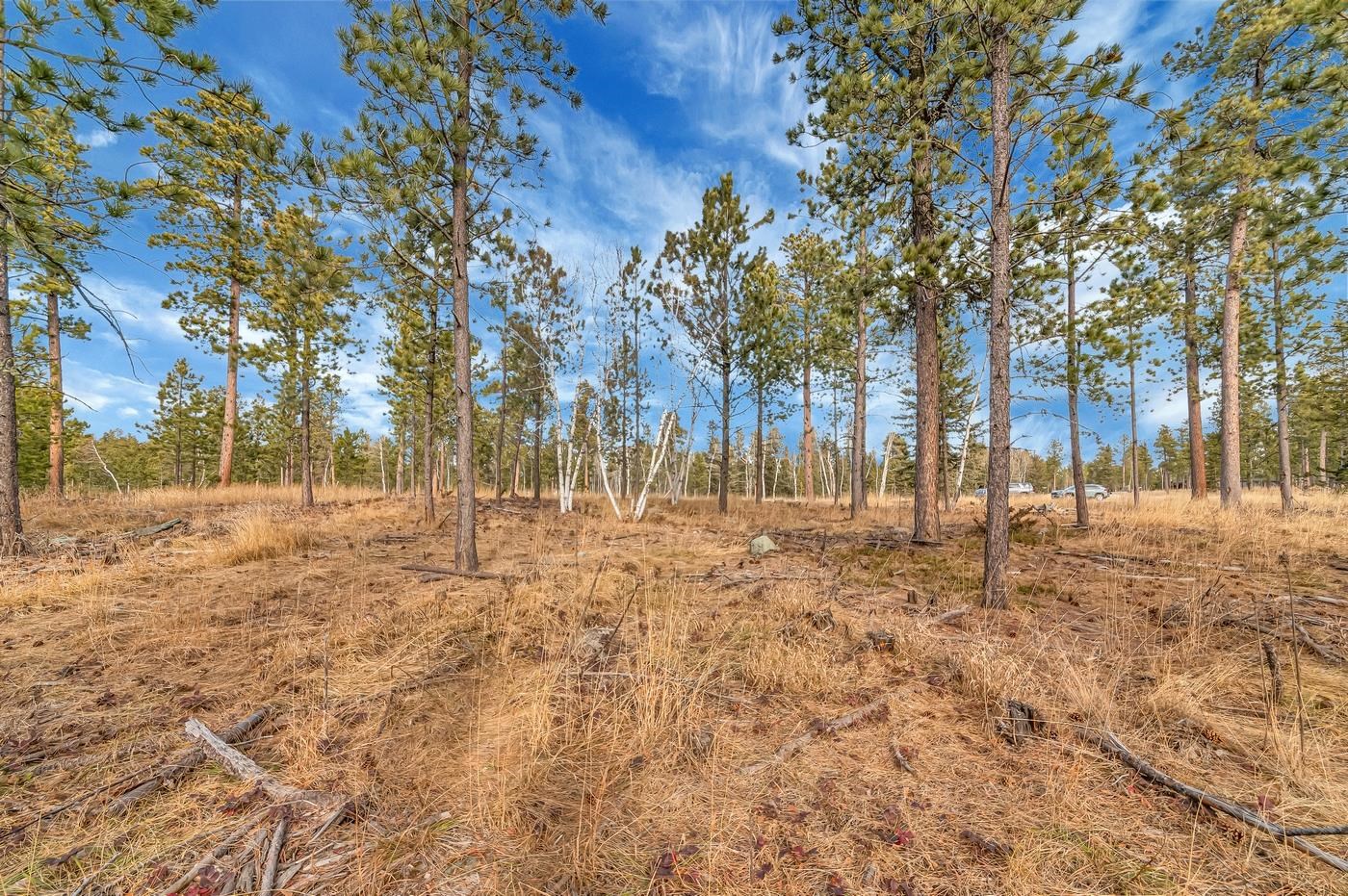 Tbd Lofty Pines Ct Property Photo 5