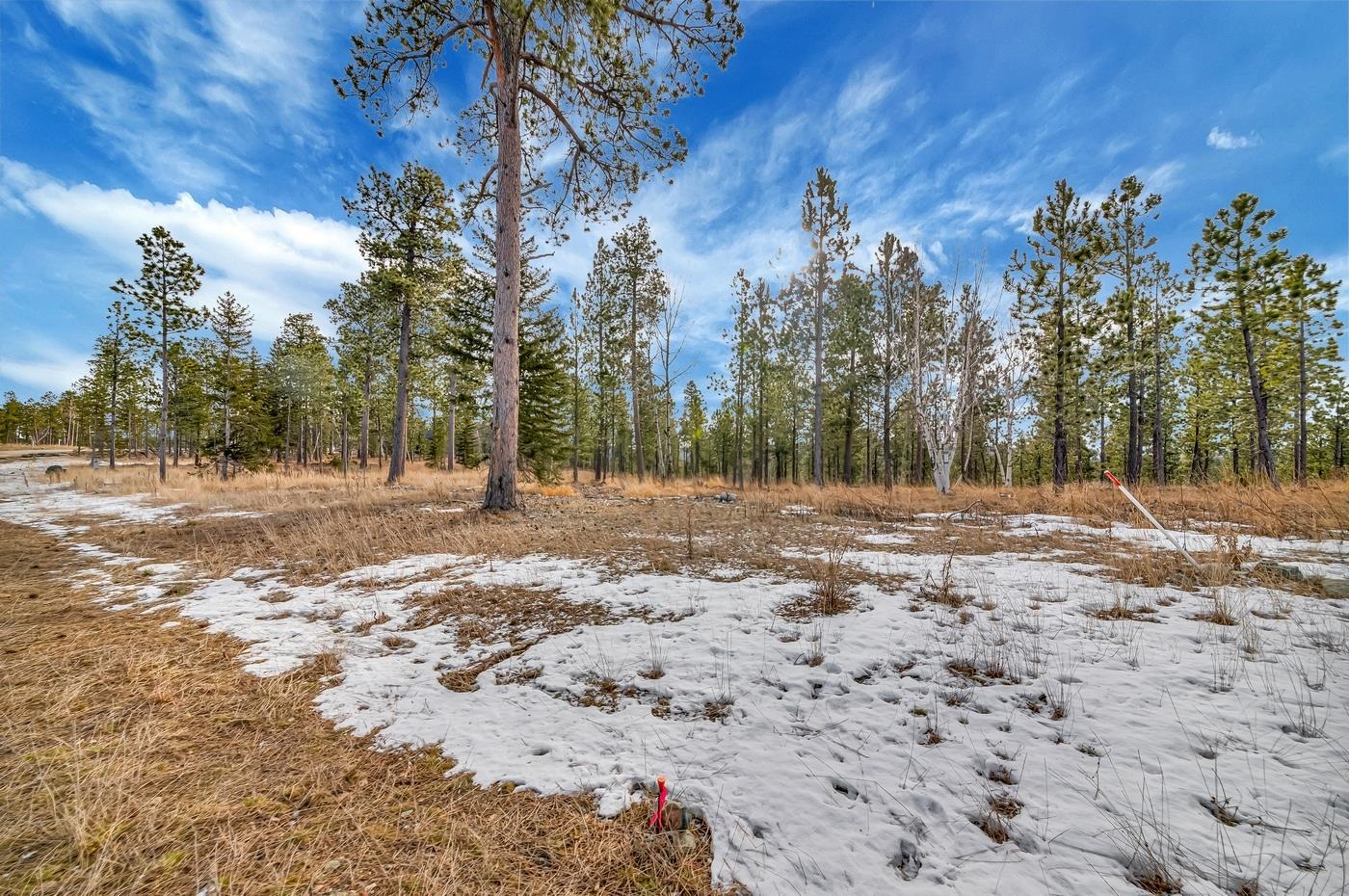 Tbd Lofty Pines Ct Property Photo 7