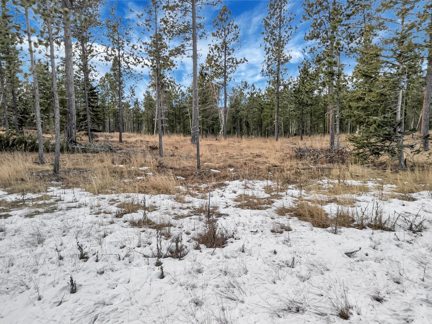 Tbd Lofty Pines Ct Property Photo 18