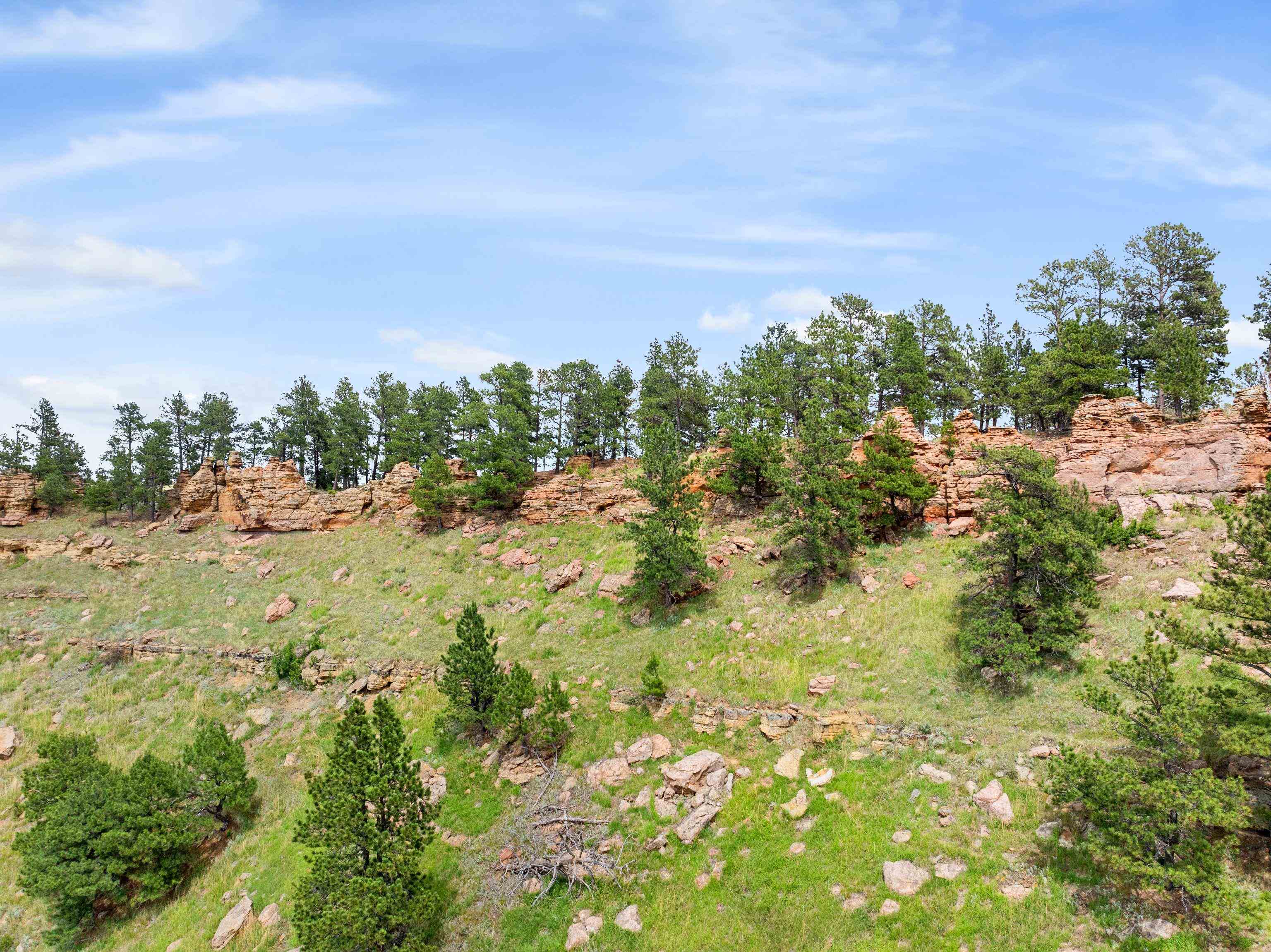 Lot 5 Canyon Pines Lane Property Photo 2