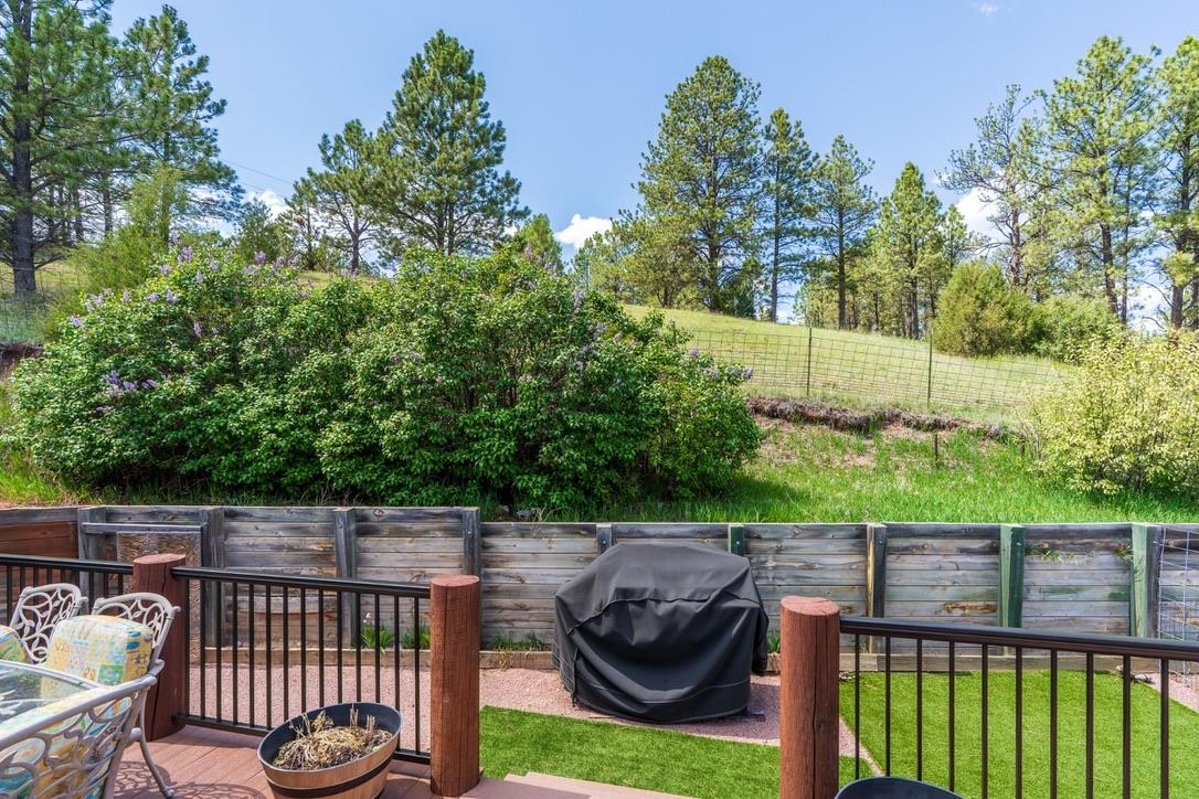 11766 Ridge Road Property Photo 33