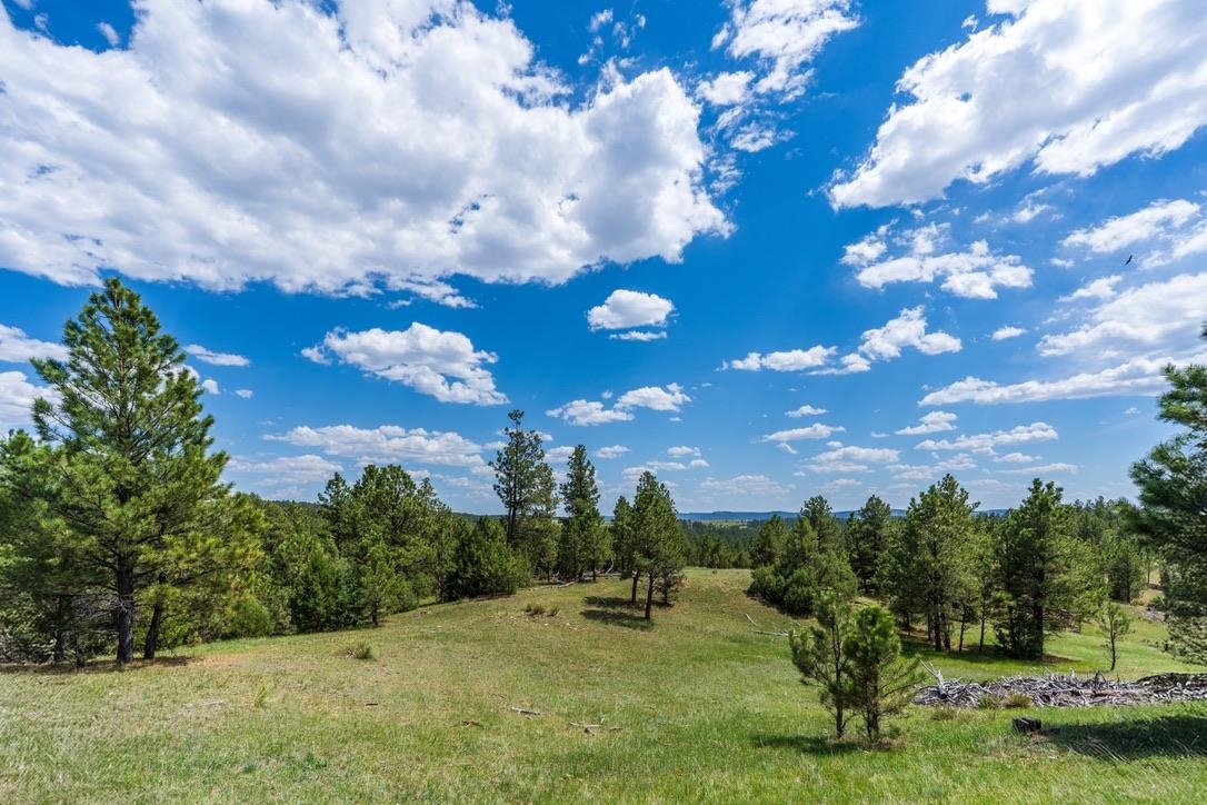 11766 Ridge Road Property Photo 43