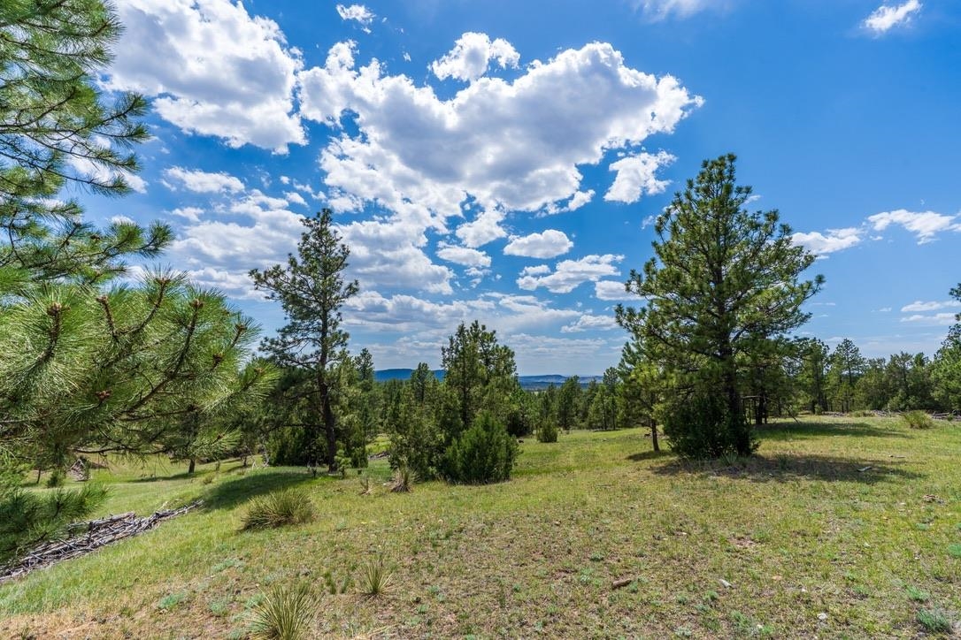 11766 Ridge Road Property Photo 44