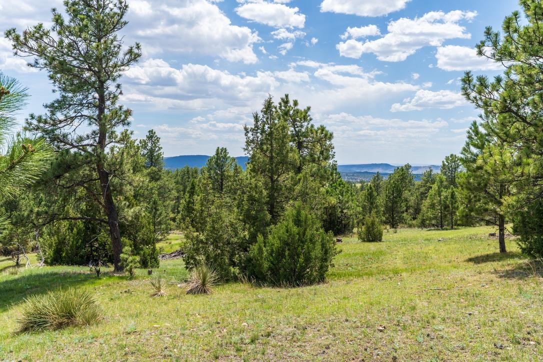 11766 Ridge Road Property Photo 45