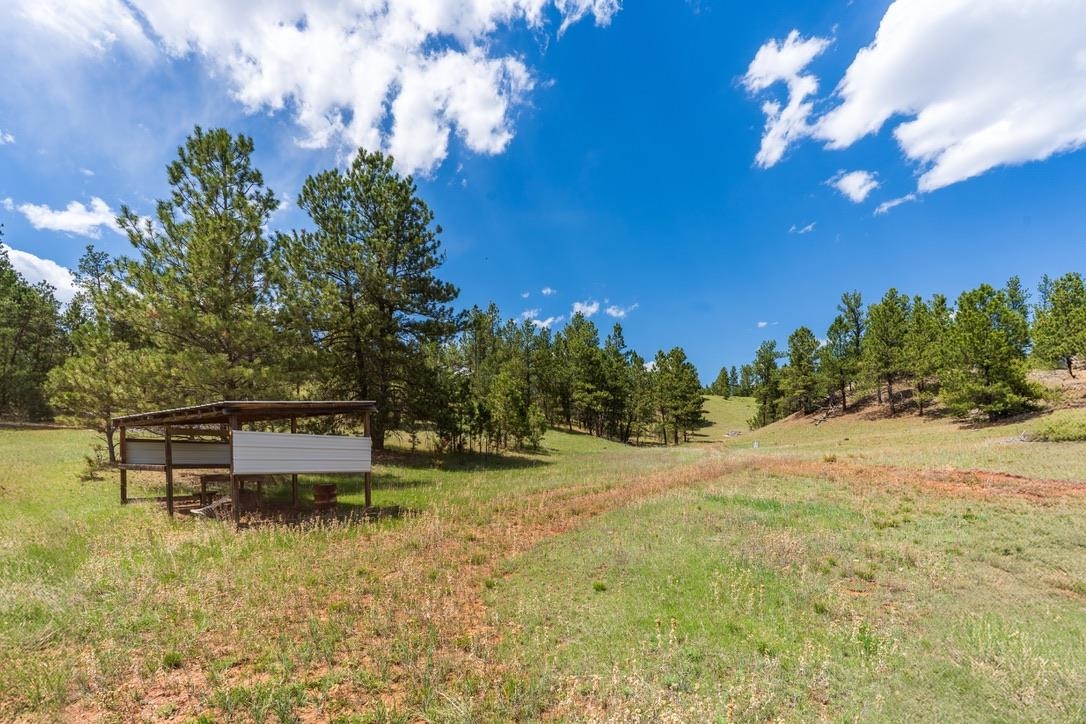 11766 Ridge Road Property Photo 46