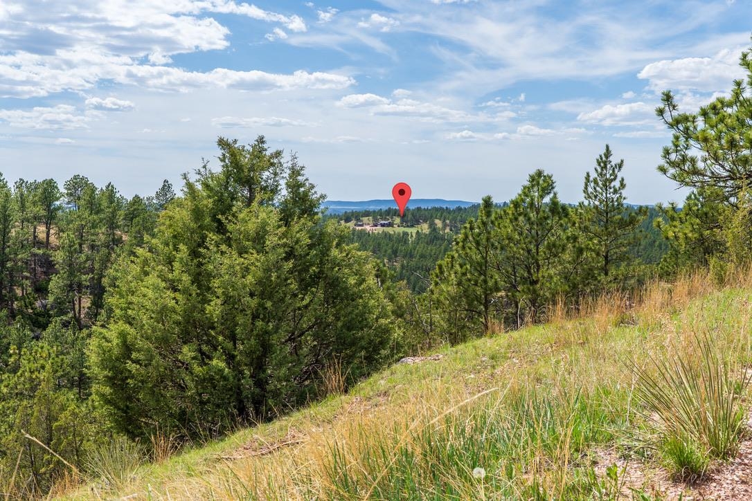 11766 Ridge Road Property Photo 48