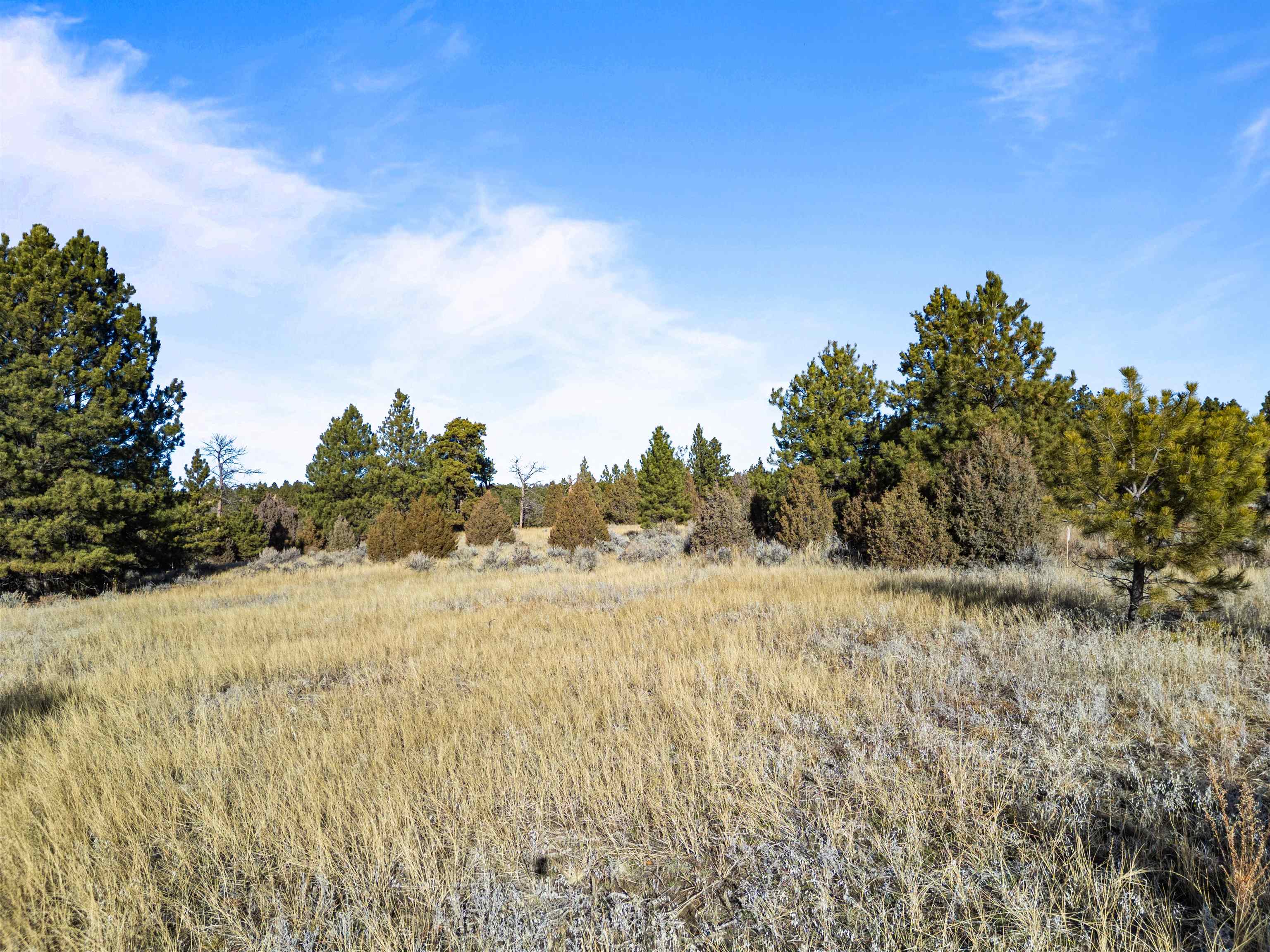 Lot 1 Sunset Ridge Road Property Photo 1