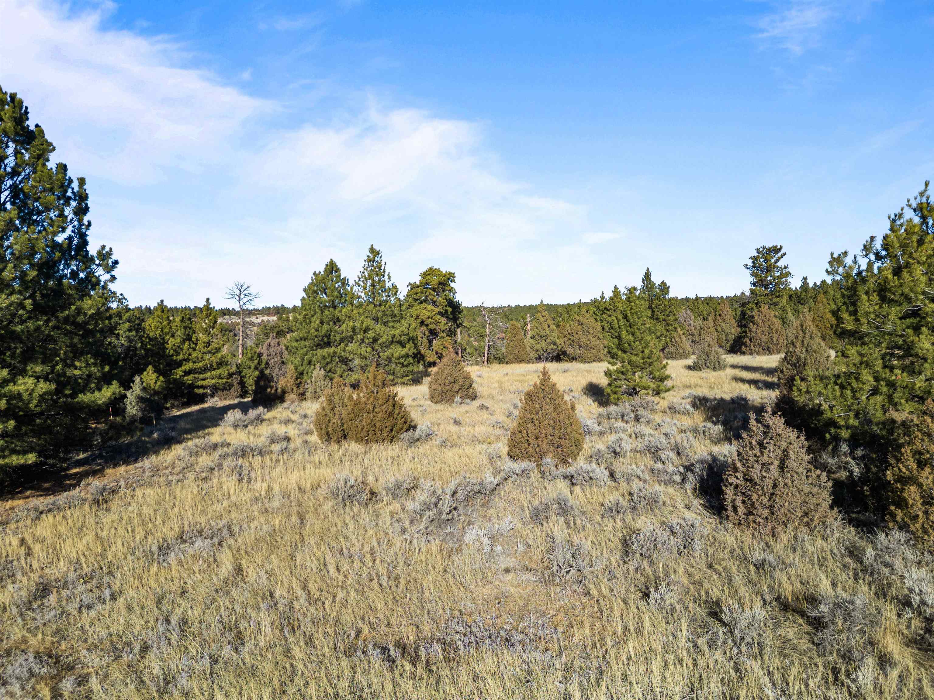 Lot 1 Sunset Ridge Road Property Photo 4