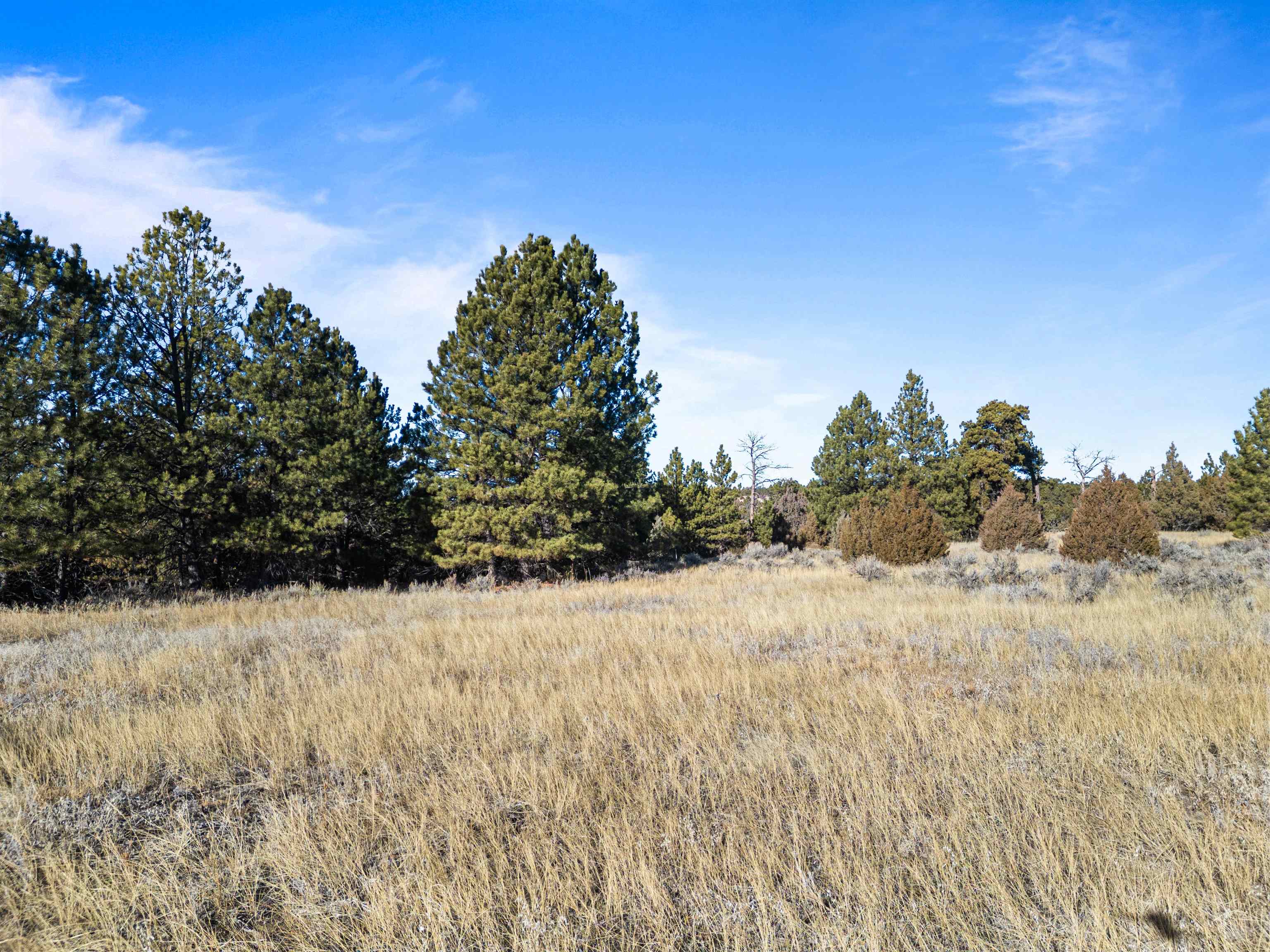 Lot 1 Sunset Ridge Road Property Photo 17