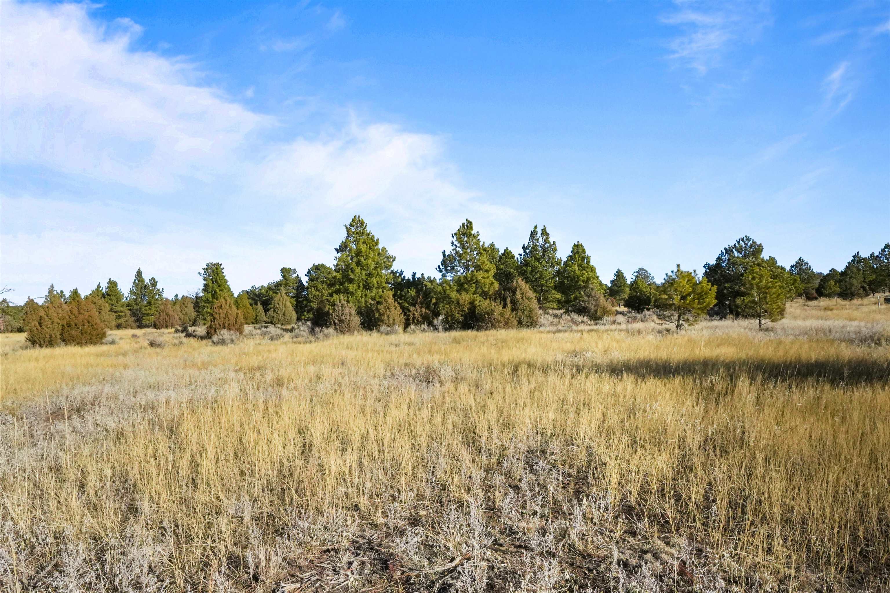 Lot 1 Sunset Ridge Road Property Photo 19