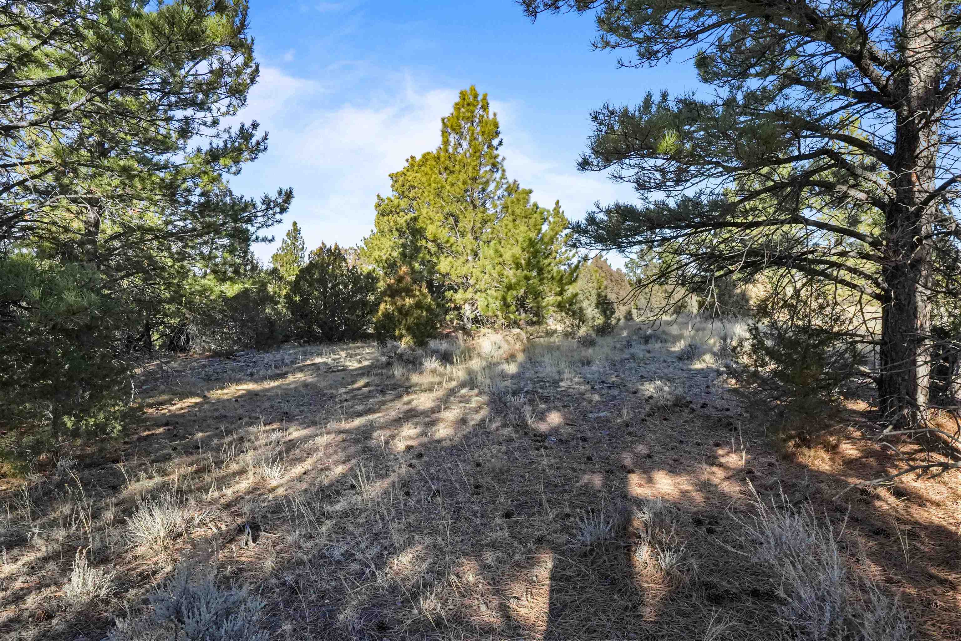 Lot 1 Sunset Ridge Road Property Photo 20
