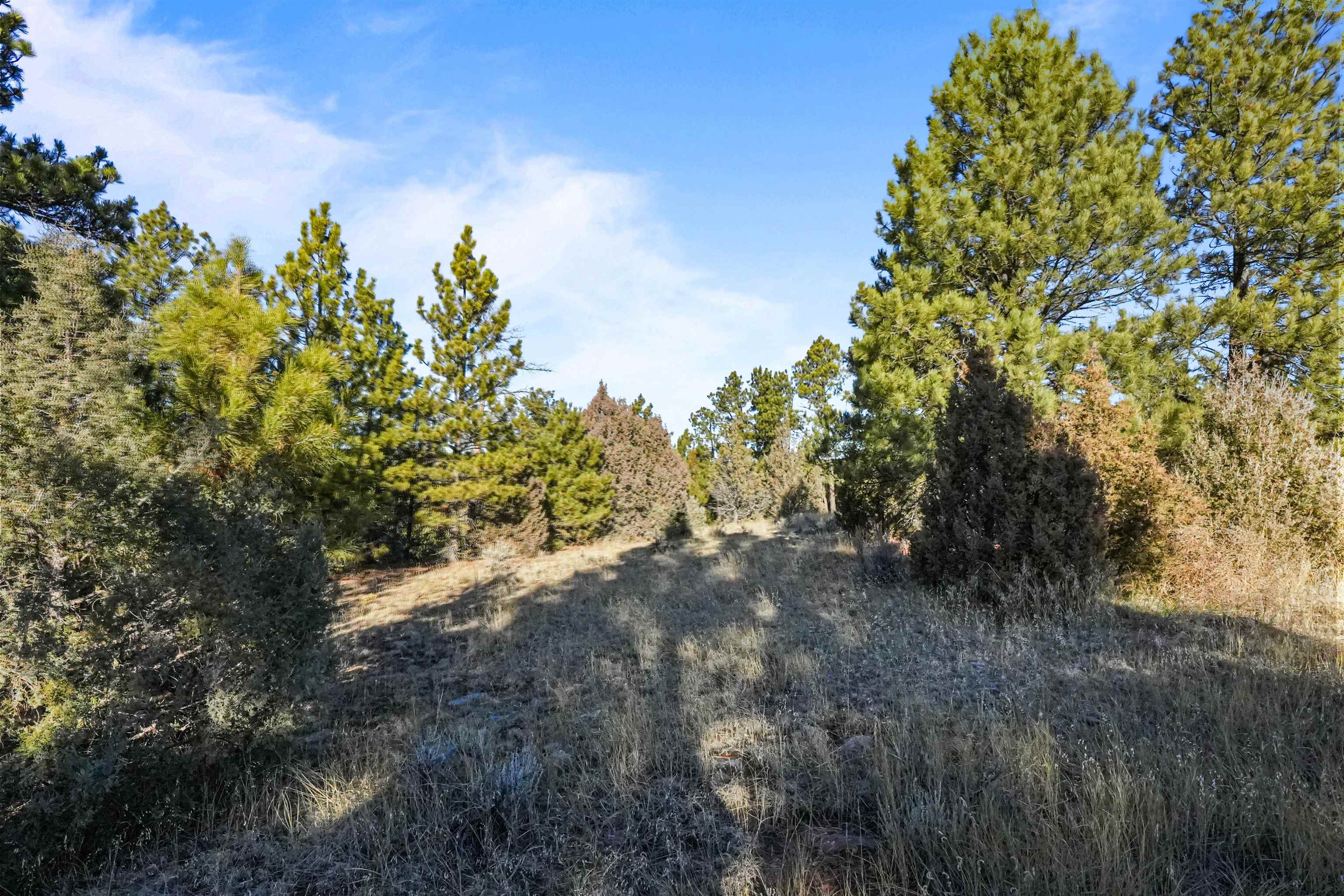 Lot 1 Sunset Ridge Road Property Photo 21