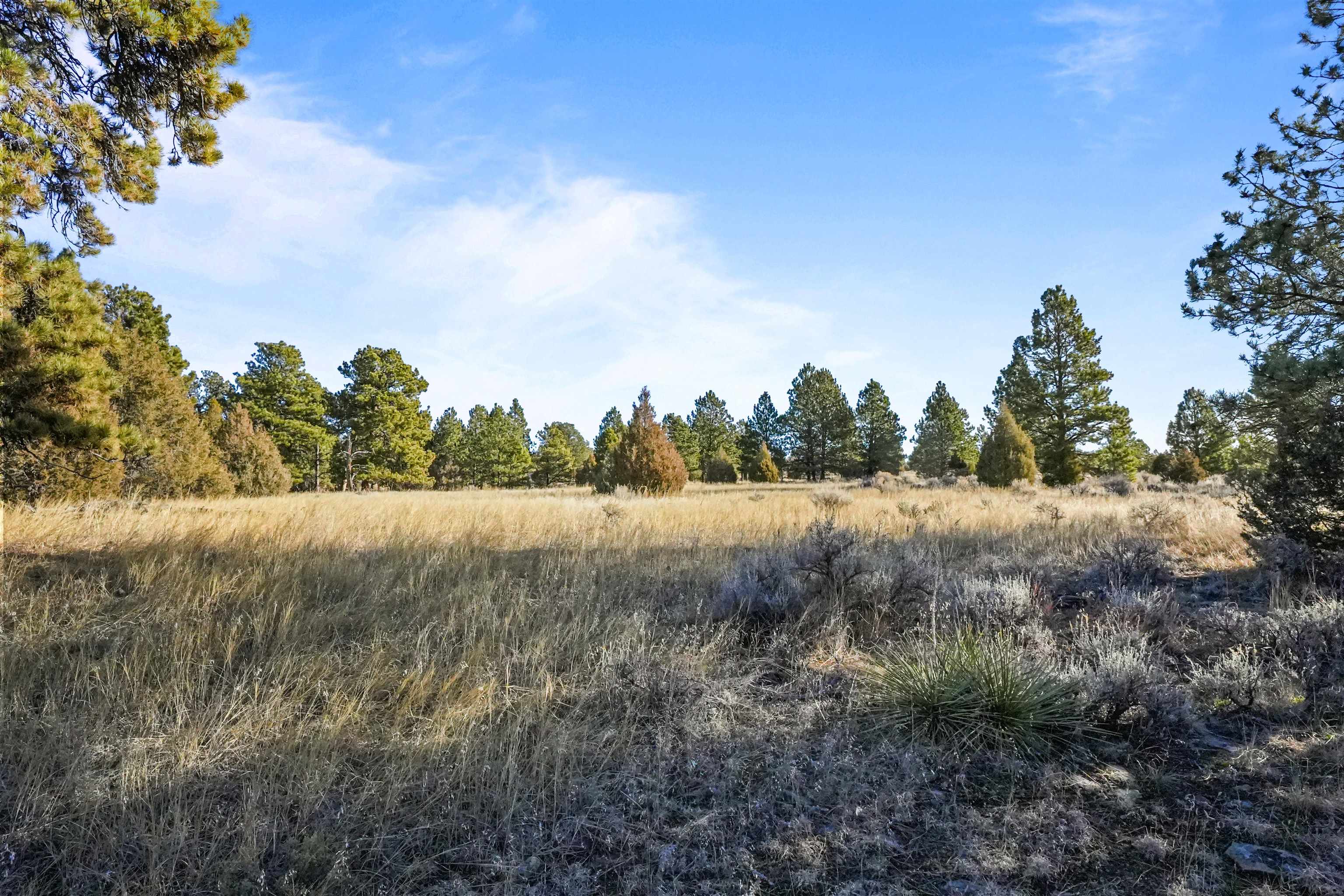 Lot 1 Sunset Ridge Road Property Photo 22