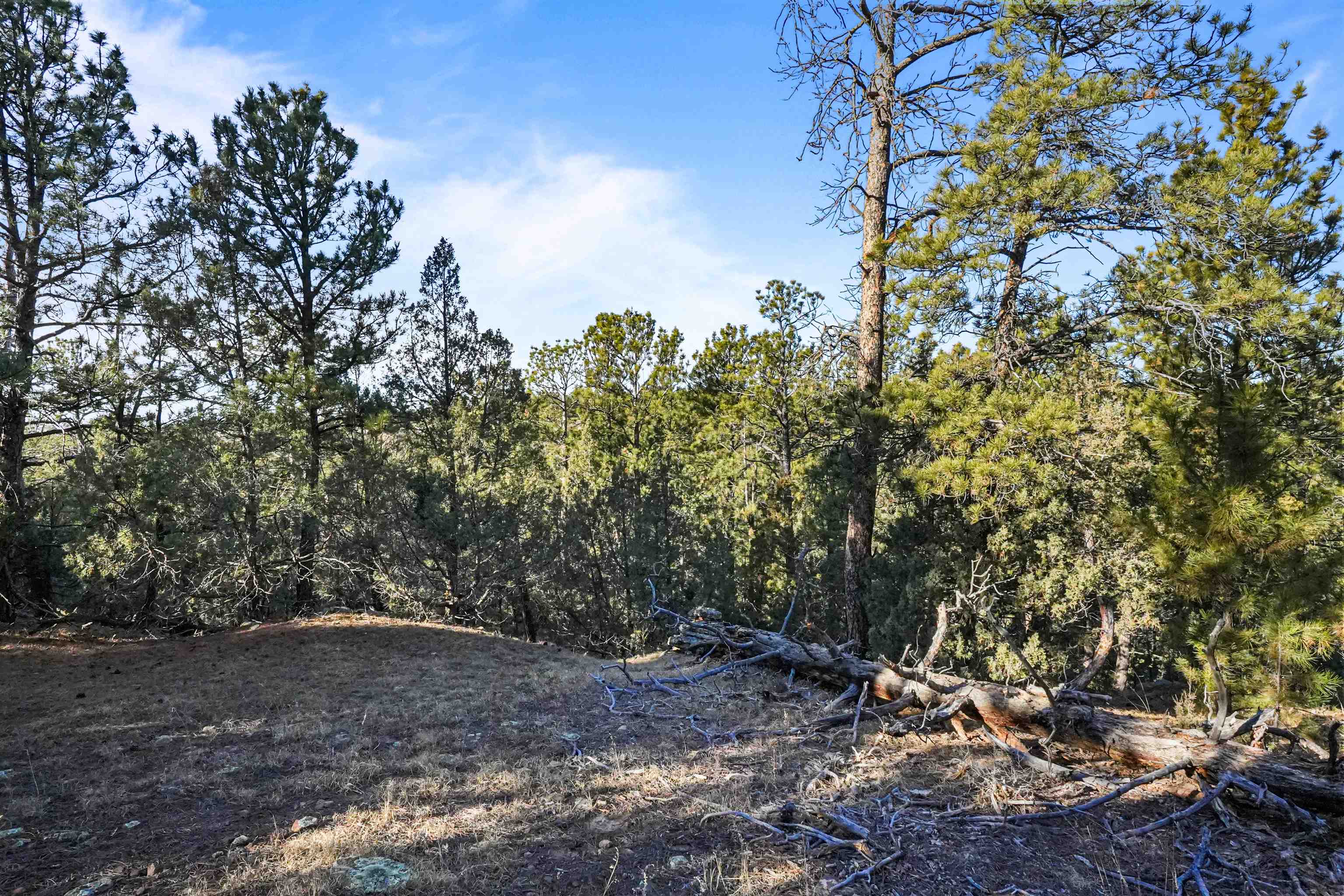Lot 1 Sunset Ridge Road Property Photo 23