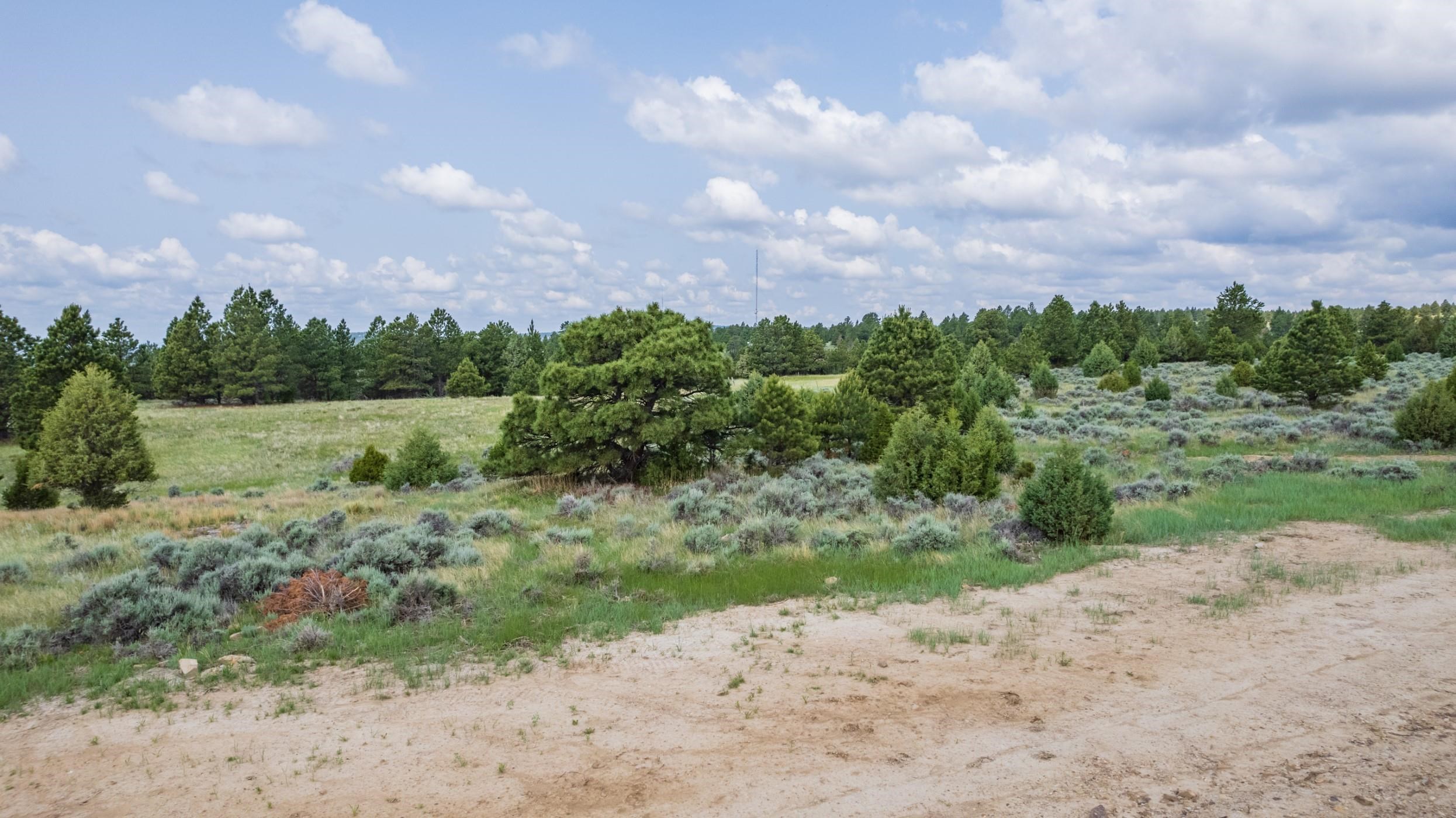 Lot 1 Sunset Ridge Road Property Photo 36