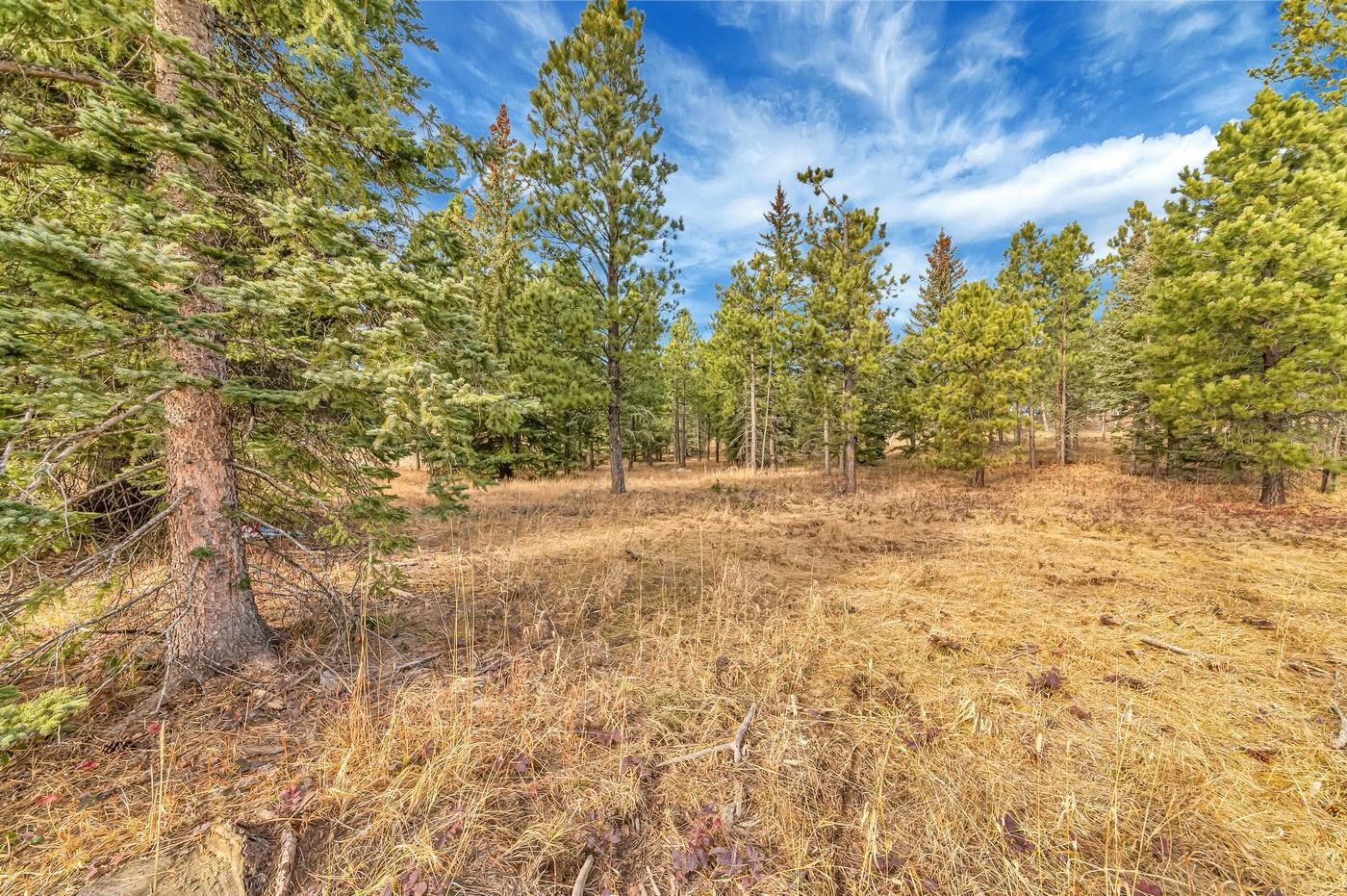 Tbd Westwind Ct. Property Photo 2