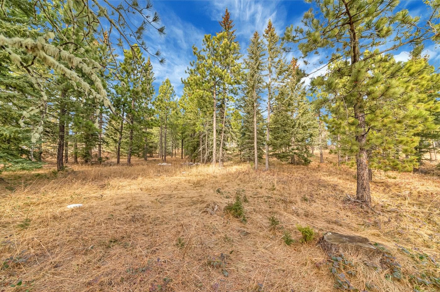 Tbd Westwind Ct. Property Photo 3