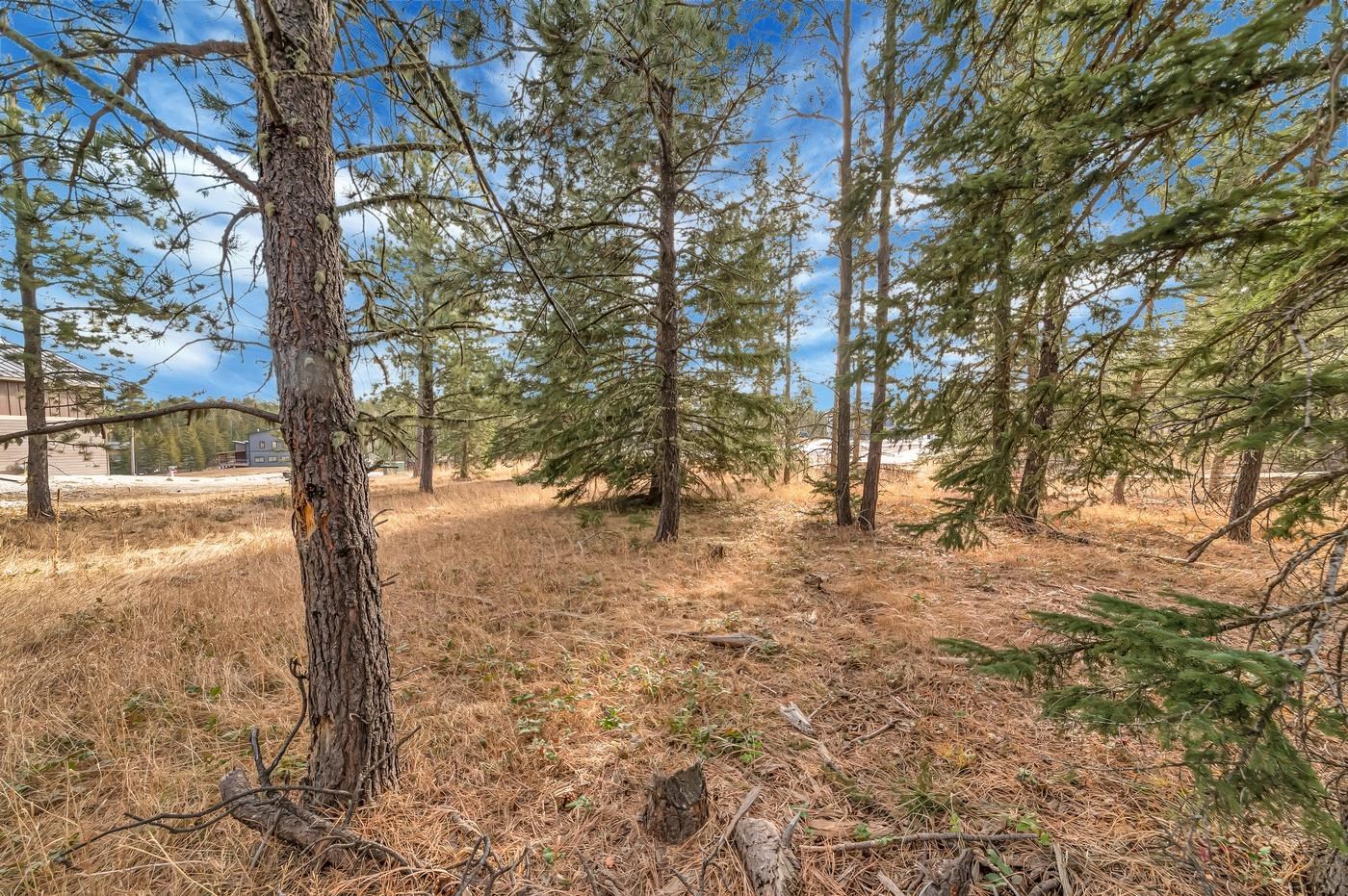 Tbd Westwind Ct. Property Photo 6