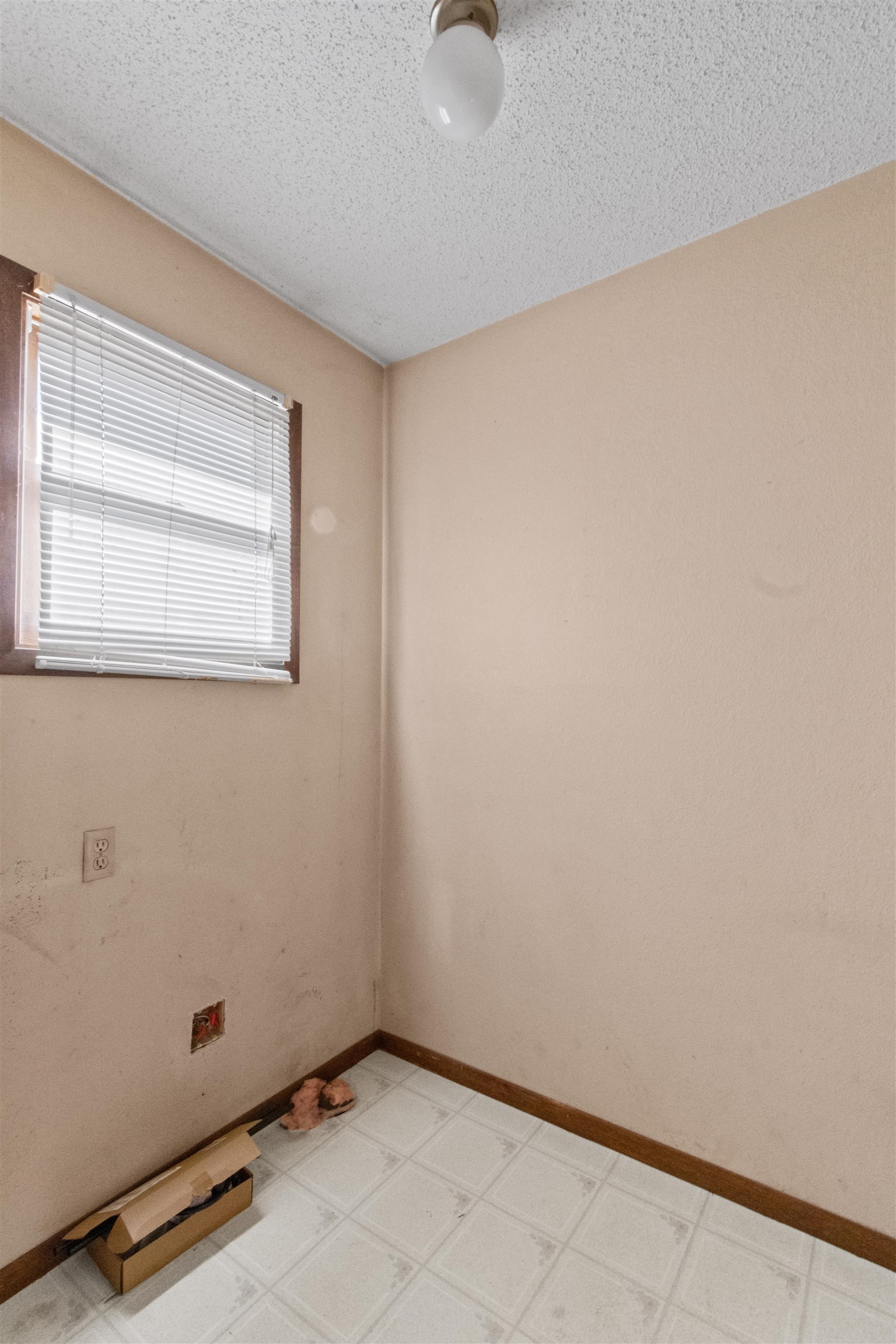 519 Pine Property Photo 16