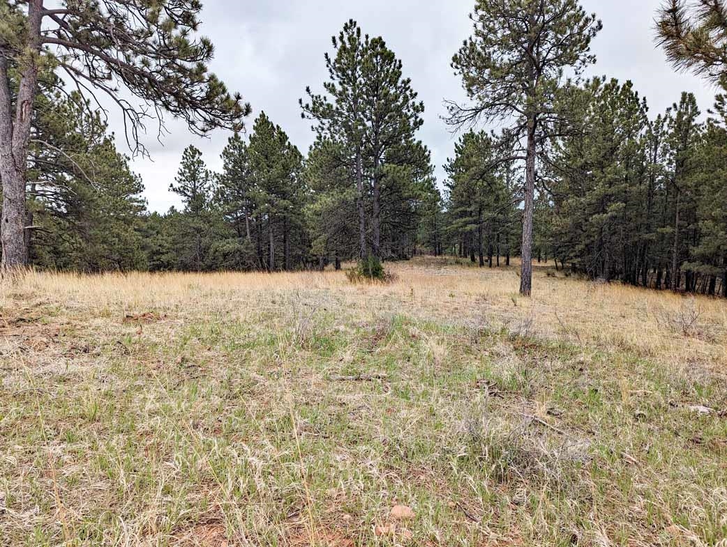 Lot 6 Argyle Road Property Photo 7
