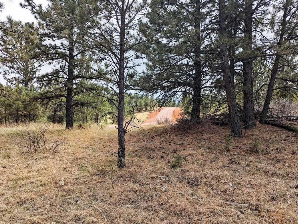 Lot 3 Argyle Ridge Ct. Property Photo 1