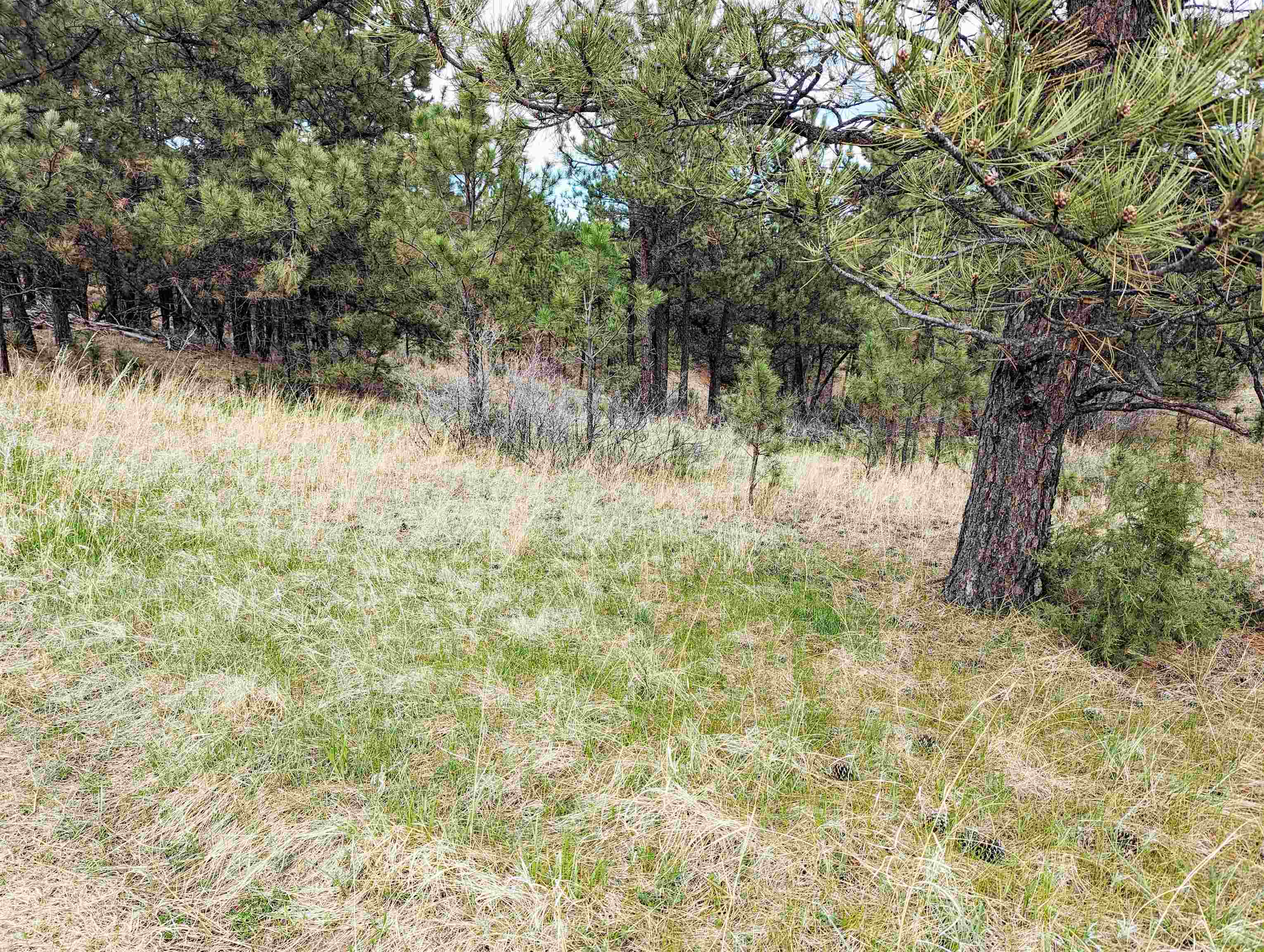 Lot 3 Argyle Ridge Ct. Property Photo 5