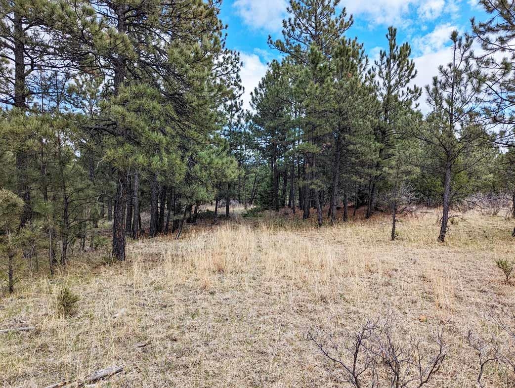 Lot 3 Argyle Ridge Ct. Property Photo 6