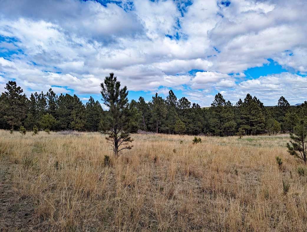 Lot 2 Argyle Ridge Ct. Property Photo 4