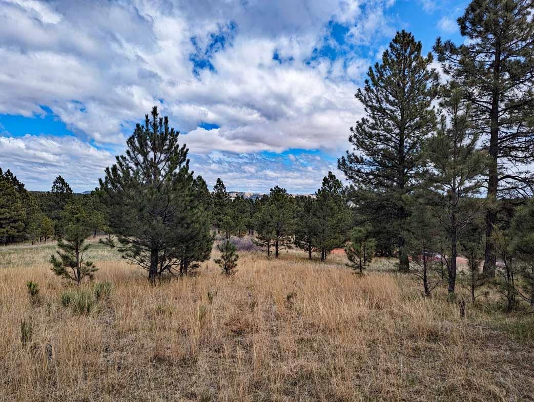 Lot 2 Argyle Ridge Ct. Property Photo 5