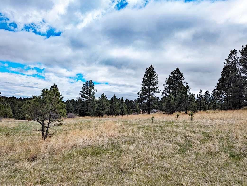 Lot 2 Argyle Ridge Ct. Property Photo 6