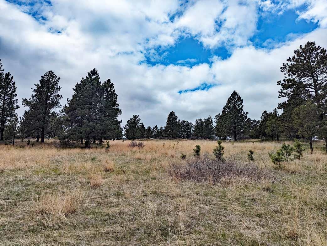 Lot 2 Argyle Ridge Ct. Property Photo 7