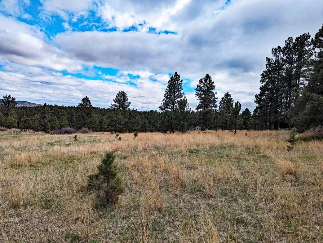 Lot 2 Argyle Ridge Ct. Property Photo 8