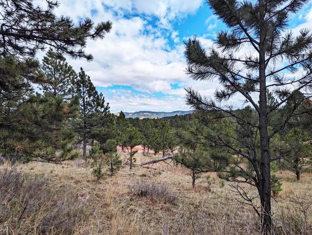 Lot 1 Argyle Ridge Ct. Property Photo 1