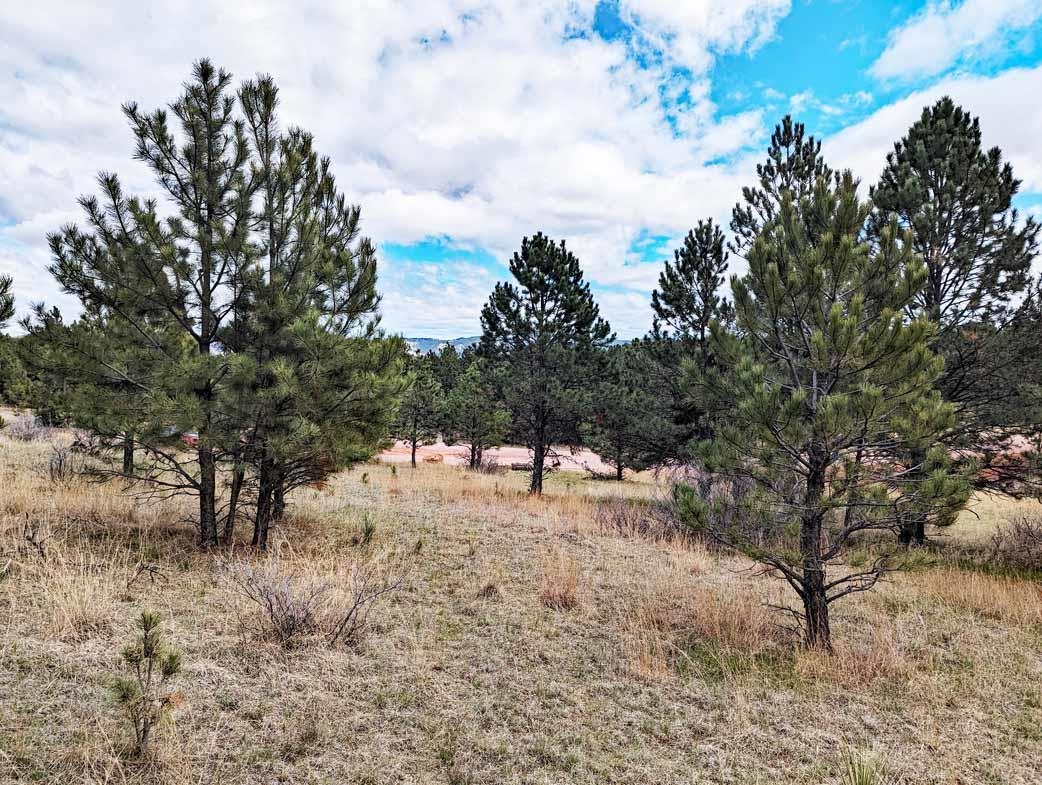 Lot 1 Argyle Ridge Ct. Property Photo 3