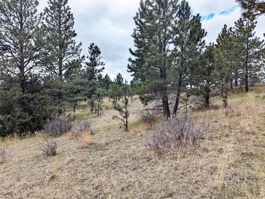 Lot 1 Argyle Ridge Ct. Property Photo 4