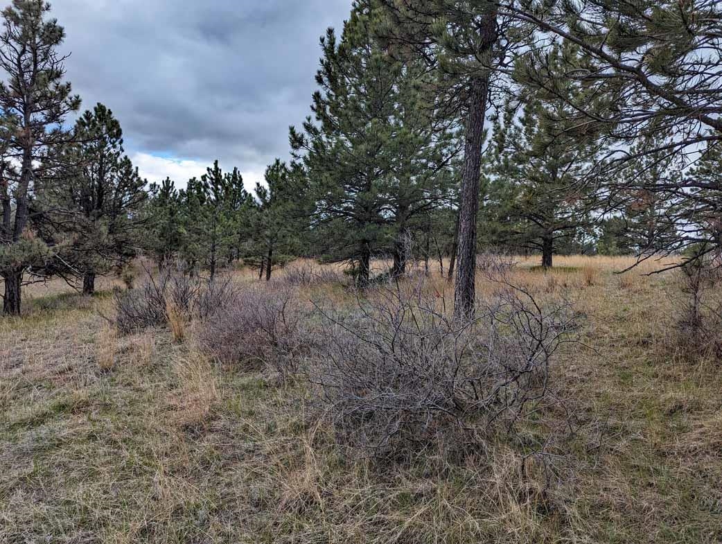 Lot 1 Argyle Ridge Ct. Property Photo 5