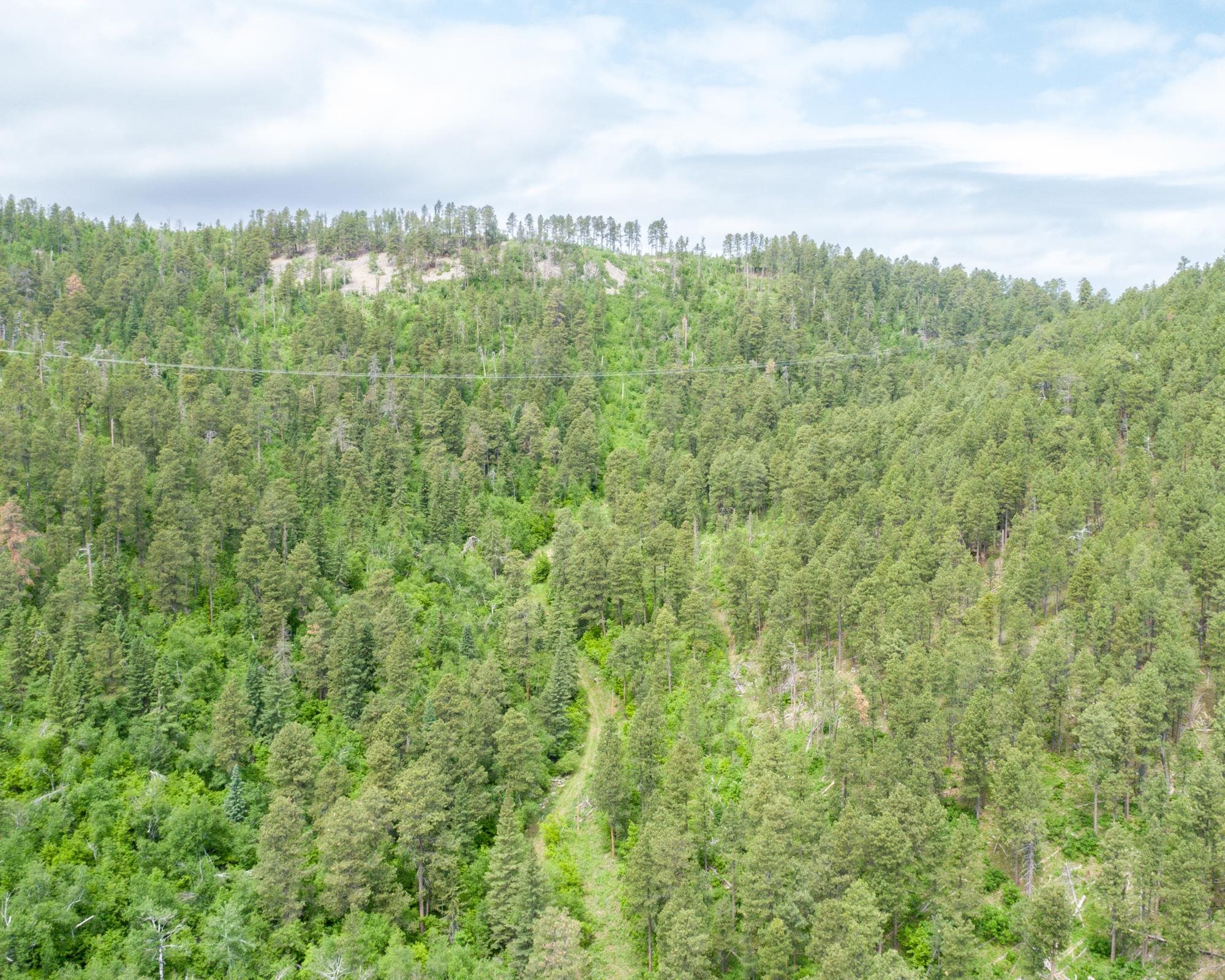 11031 Burno Gulch Road Property Photo 3