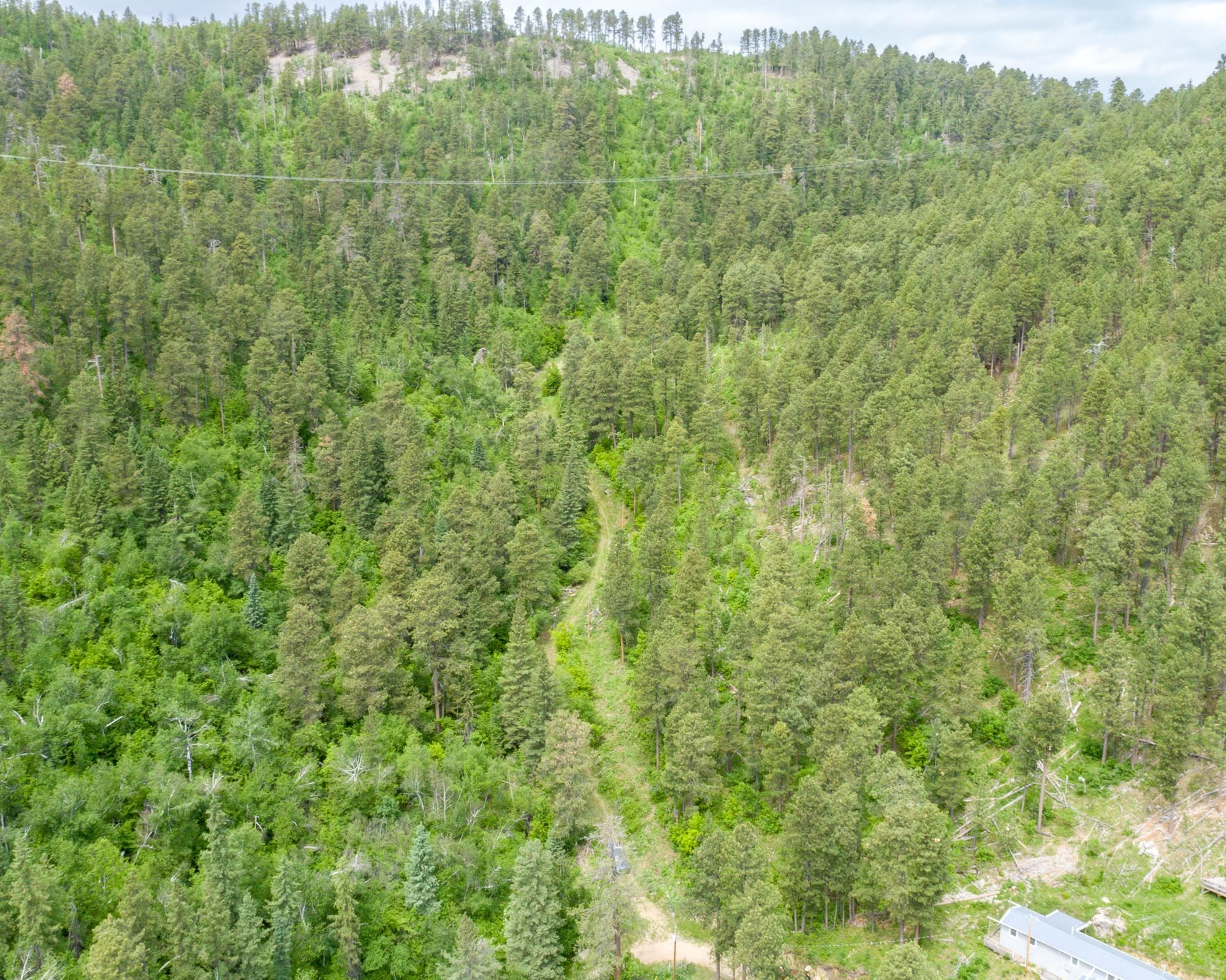 11031 Burno Gulch Road Property Photo 4