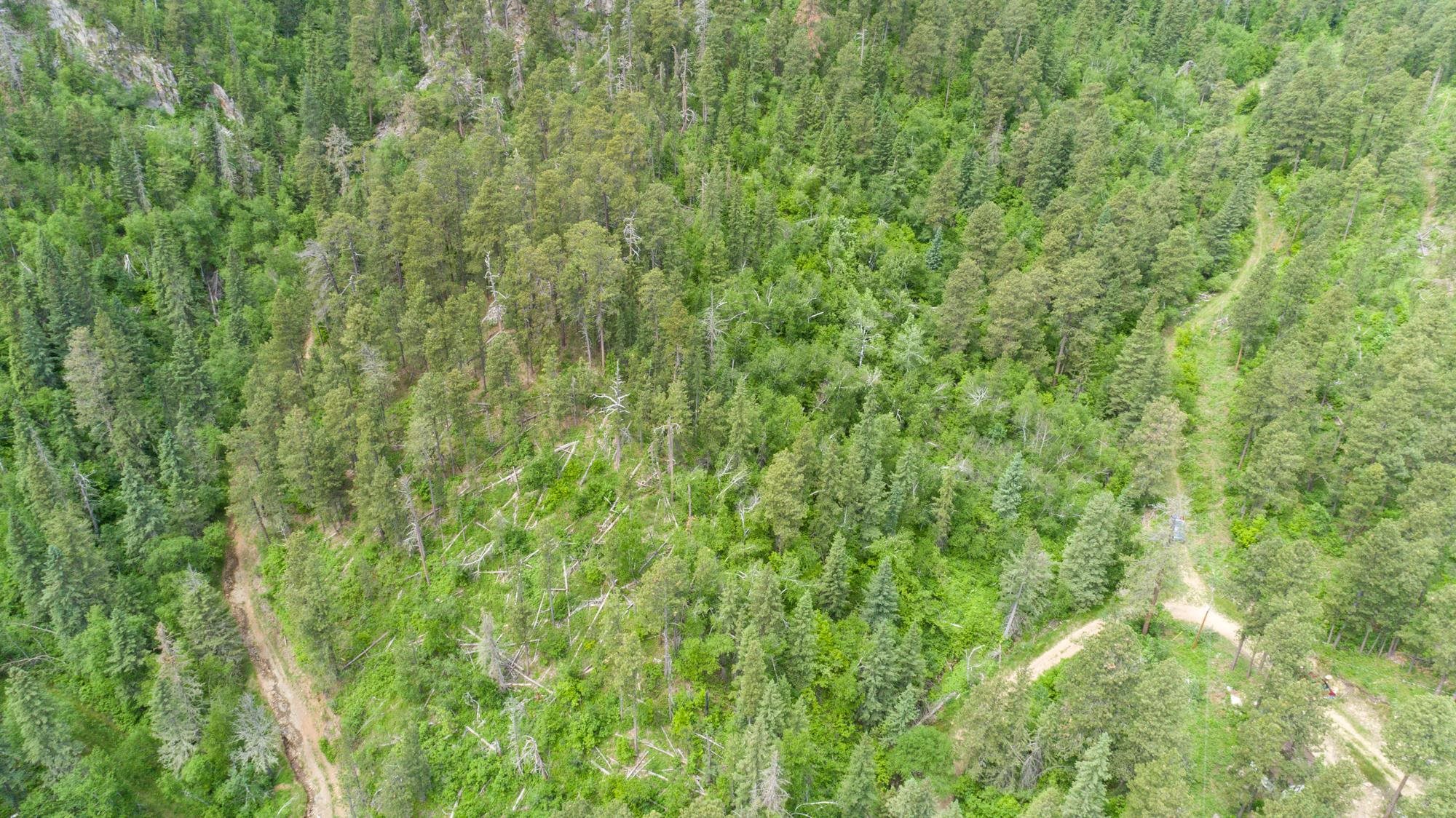 11031 Burno Gulch Road Property Photo 5
