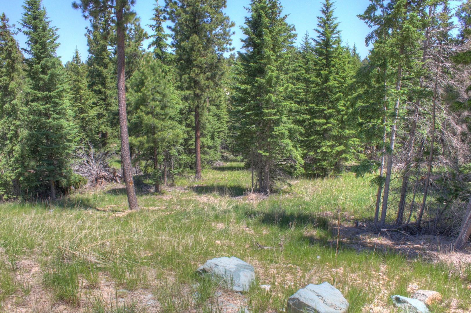11292 Trailside Loop Property Photo 1