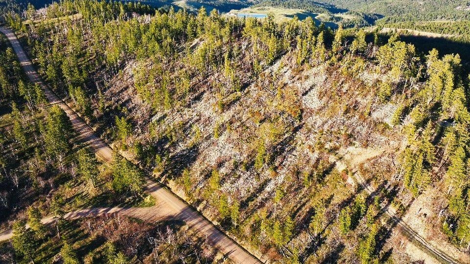 Tbd Terry Peak Summit Rd Property Photo 1