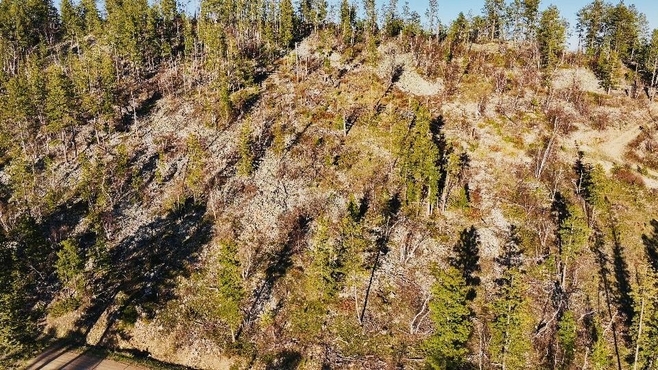 Tbd Terry Peak Summit Rd Property Photo 2