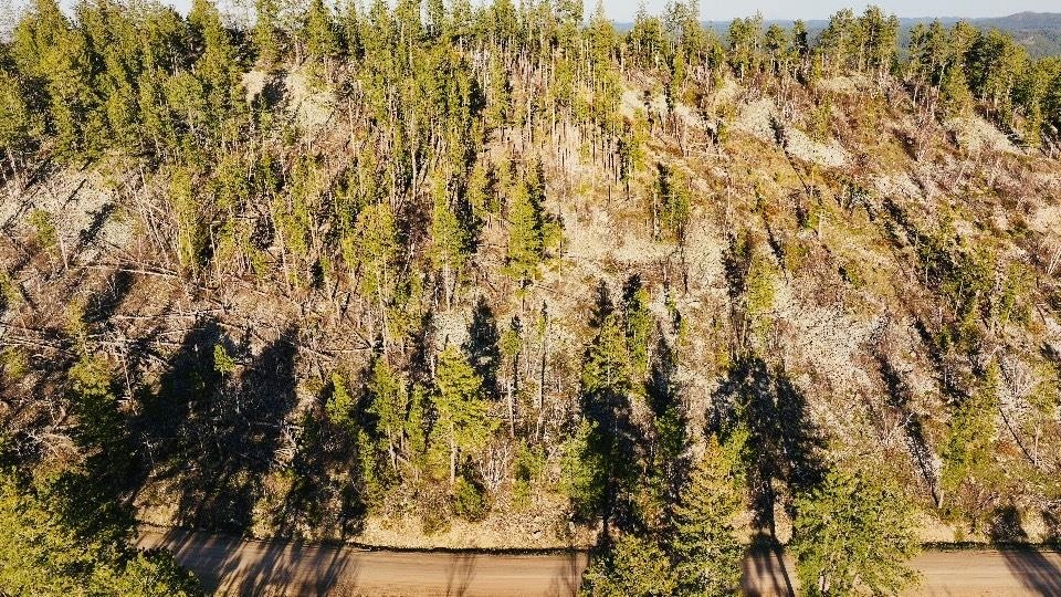Tbd Terry Peak Summit Rd Property Photo 3